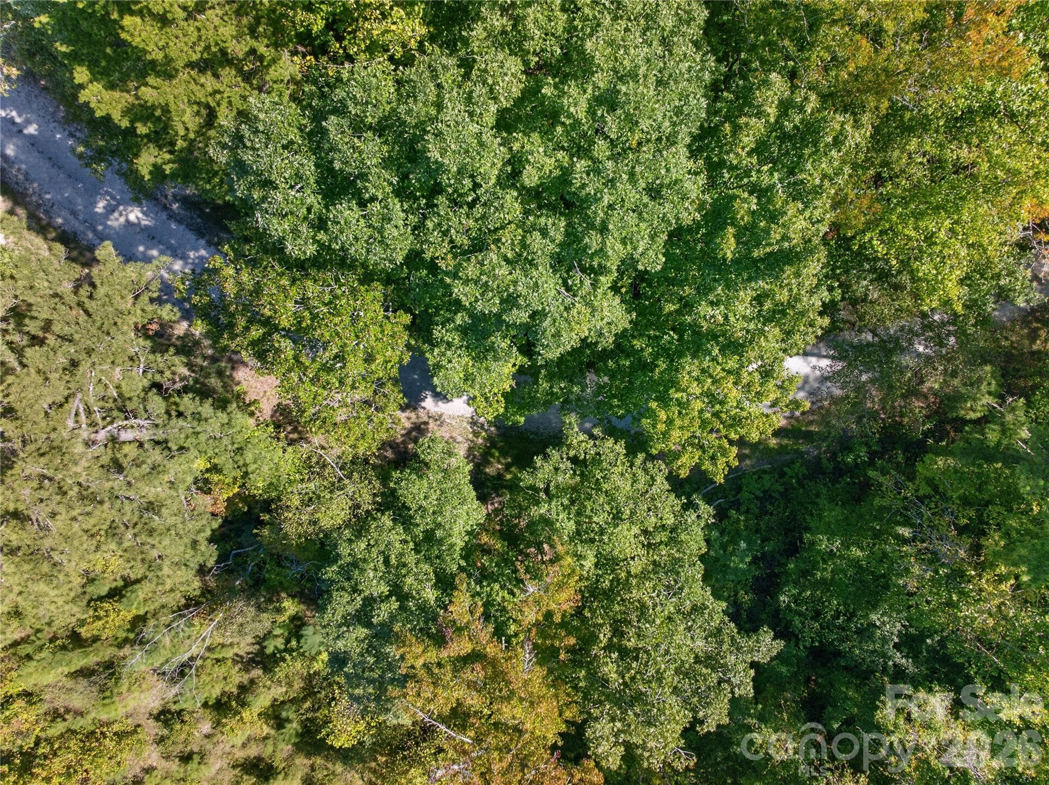 Acreage at 0000 Narrow Bridge Road, Chester, photo 34 of 36