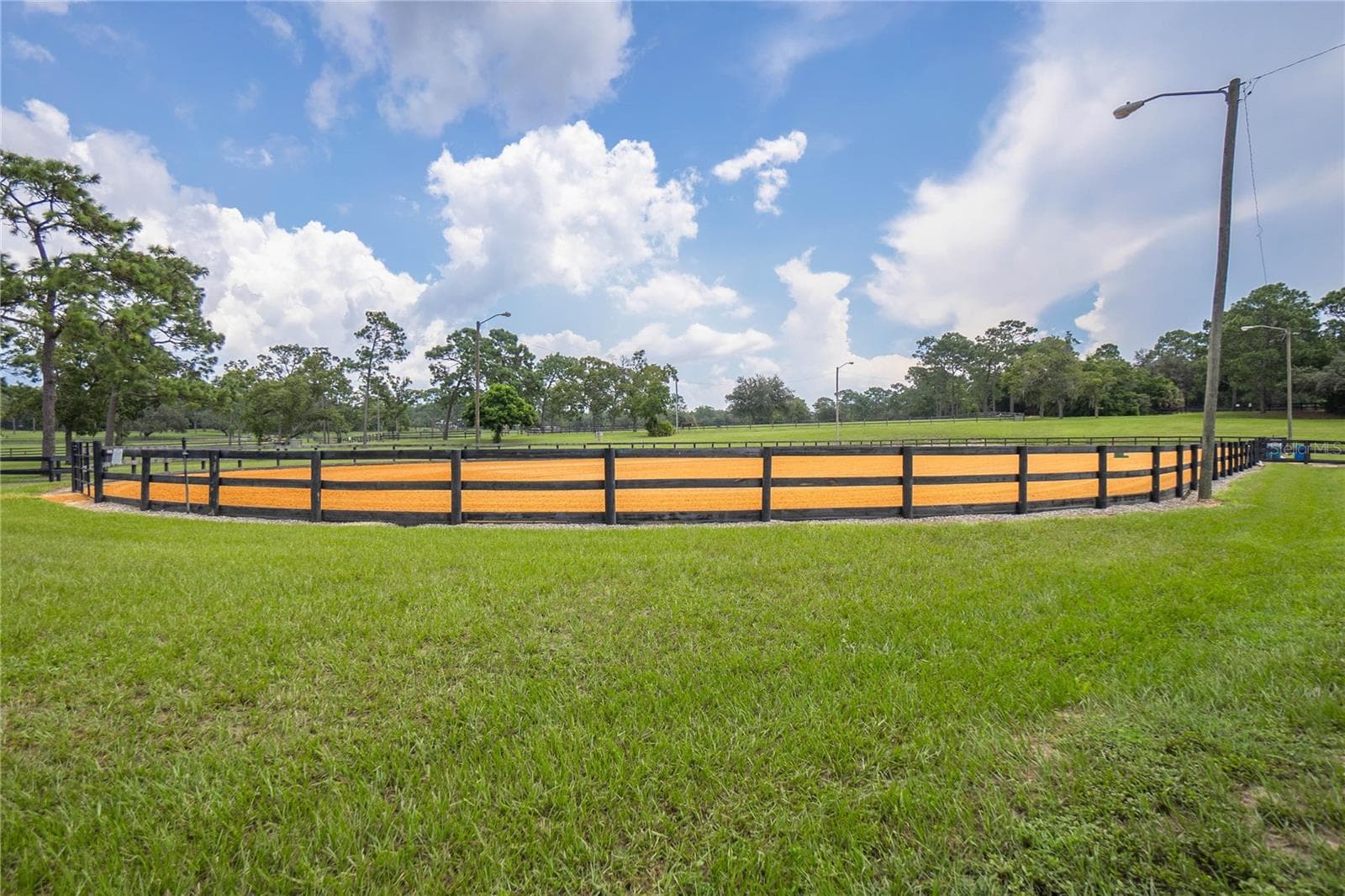 Pine Ridge Community - 3856 W Birds Nest DR, BEVERLYHILLS FL 34465, Beverly Hills