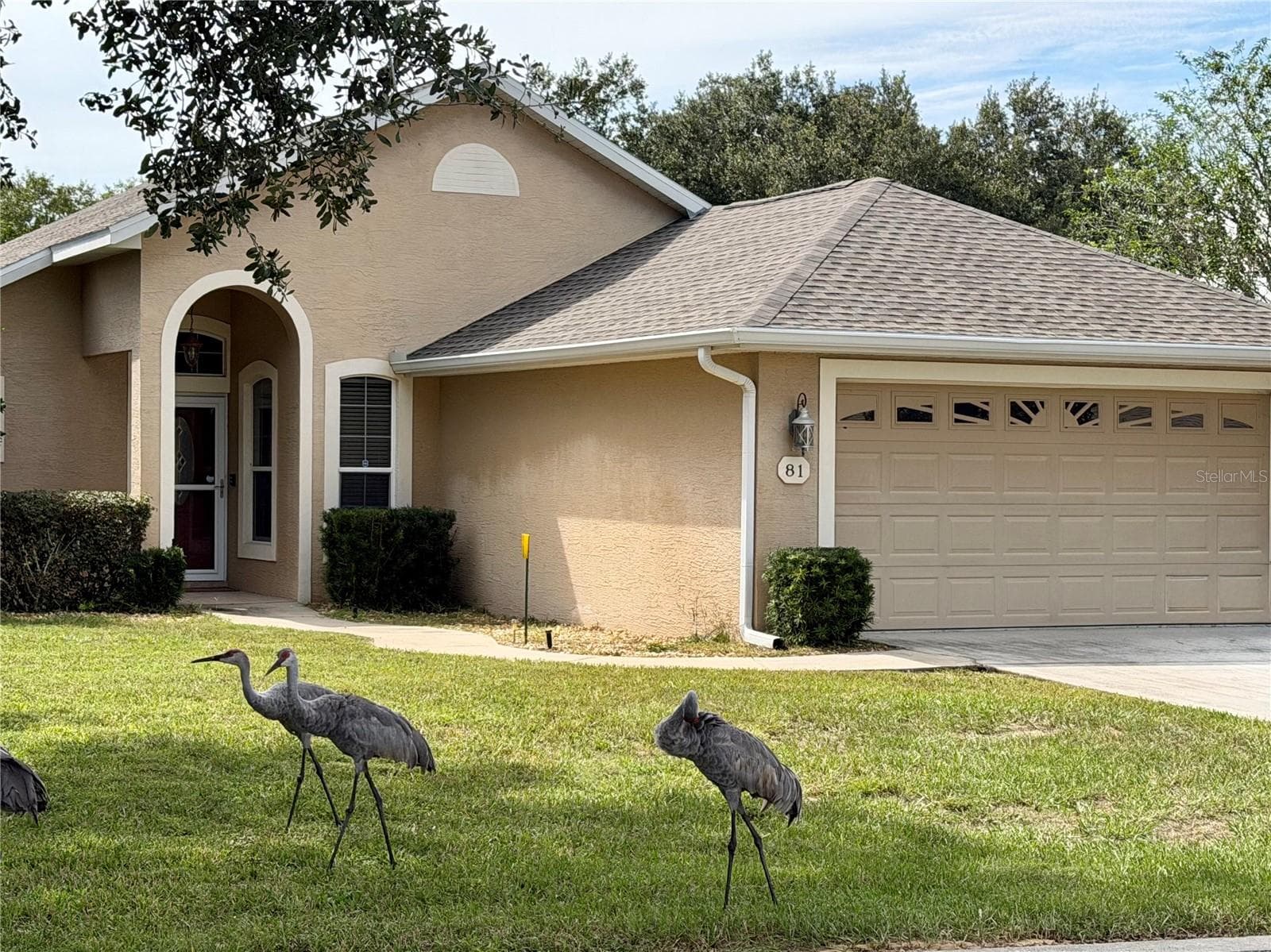 Neighbors! - 81 GOLFVIEW CIR, UMATILLA