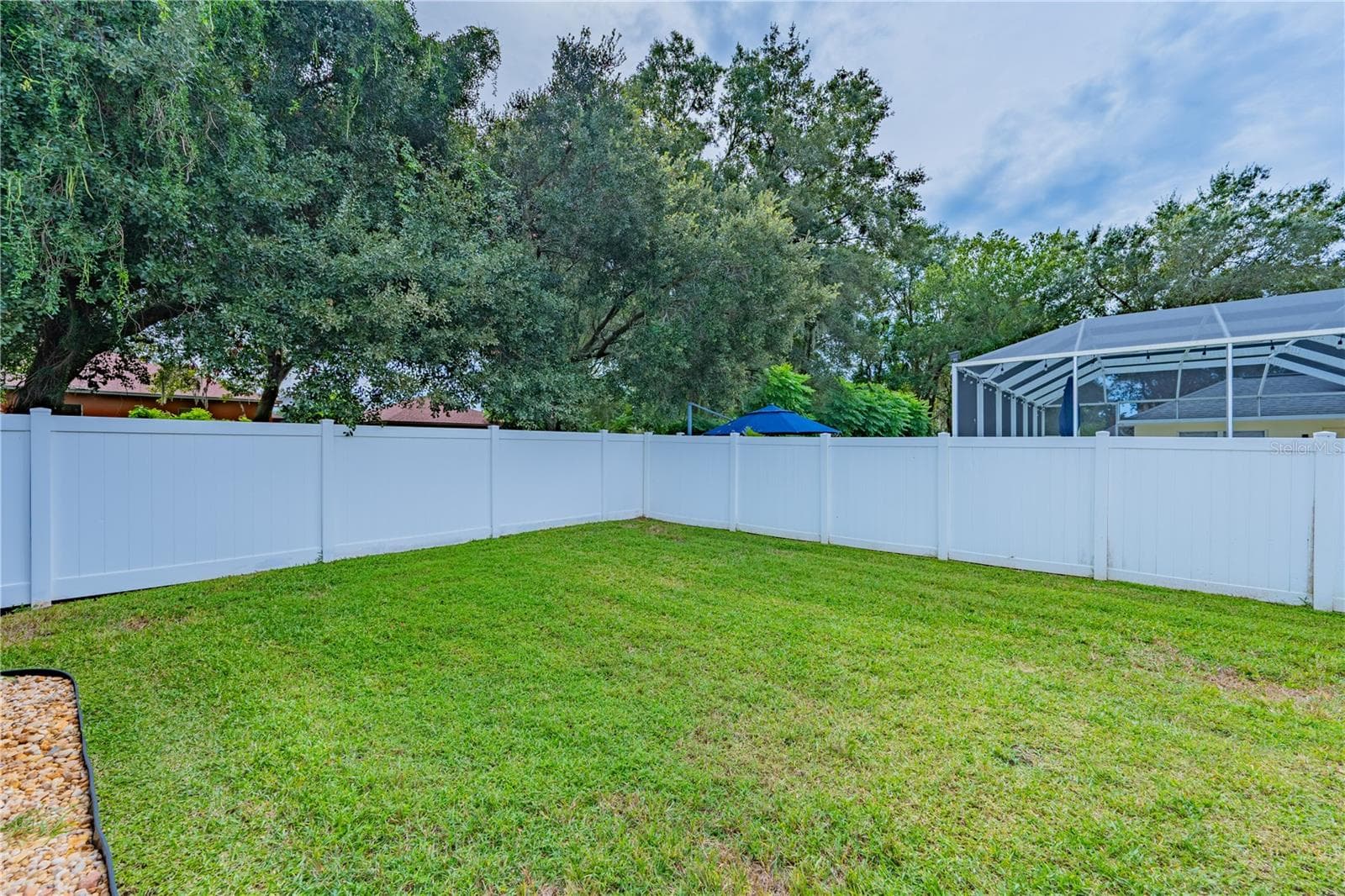 Back Yard - 1001 SPLIT SILK ST, VALRICO