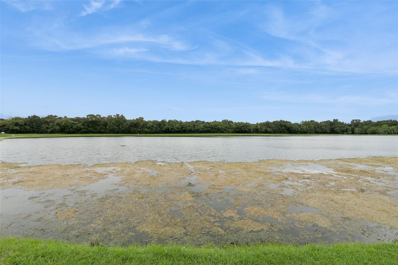 Lake View - 3853 GLIDING PL, SANFORD