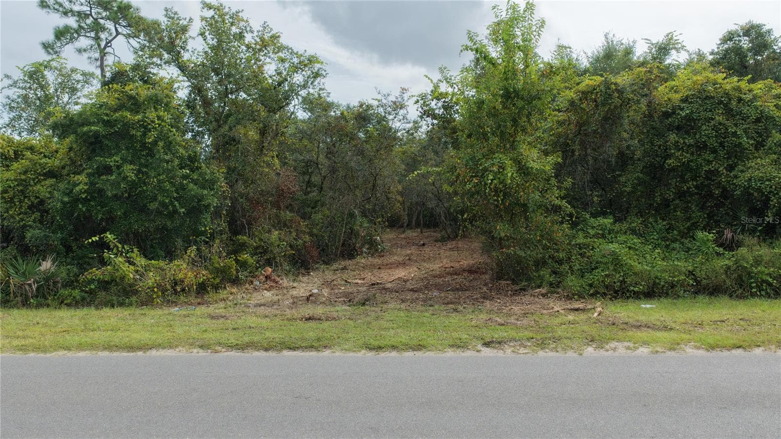 Land at 0000 LAKE MACK DR, DELAND, photo 5 of 8