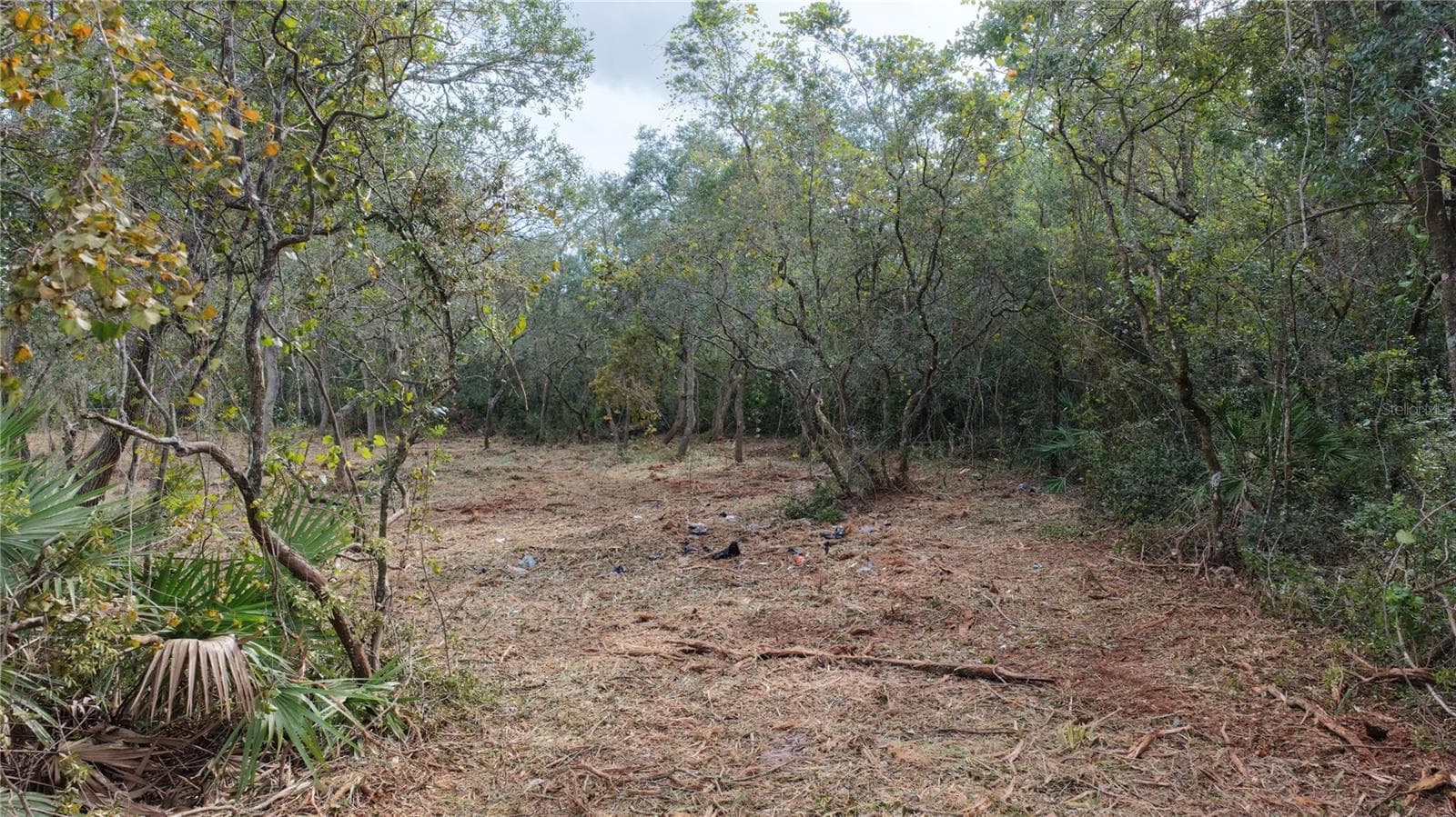 Land at 0000 LAKE MACK DR, DELAND, photo 6 of 8