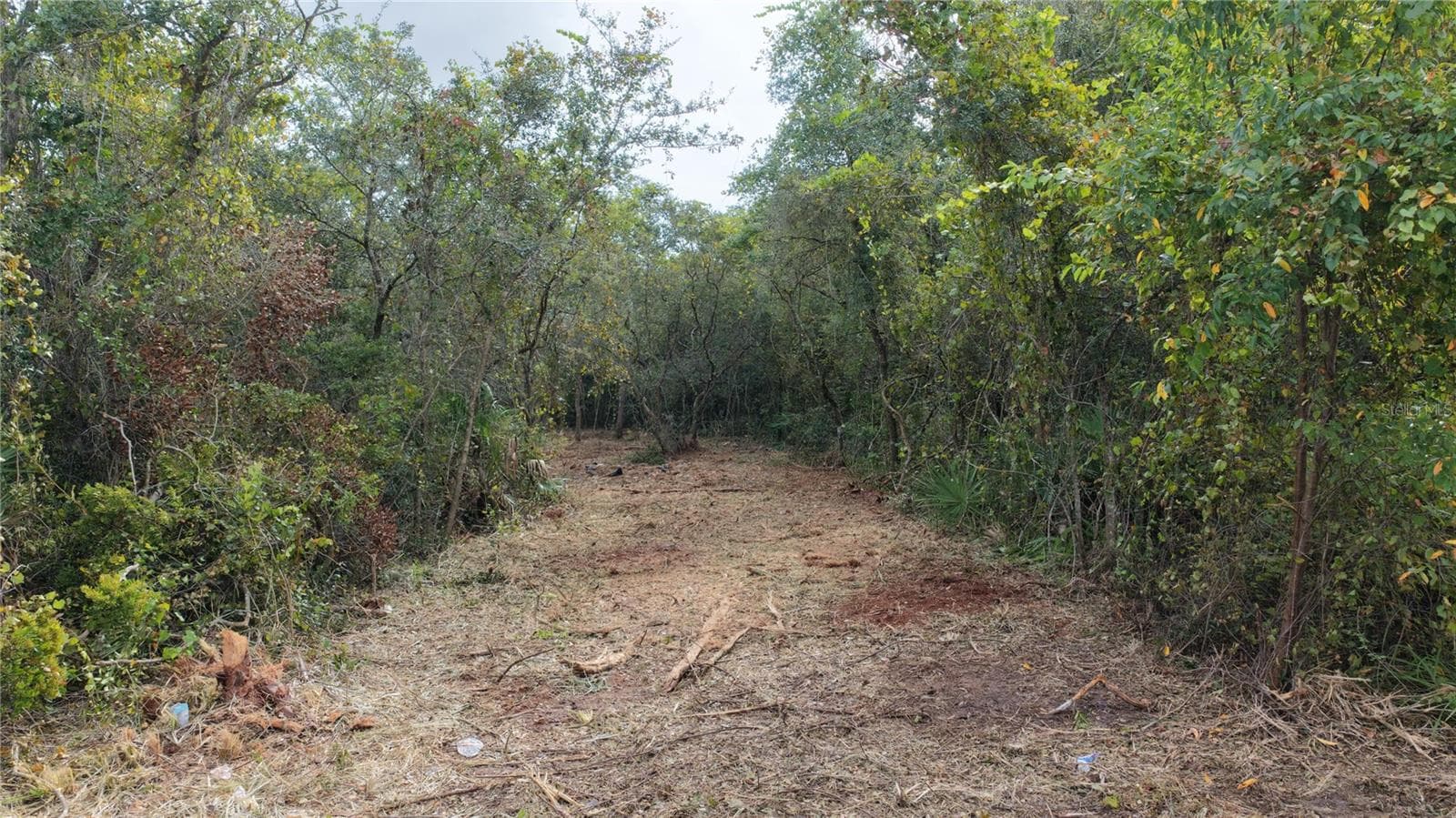 Land at 0000 LAKE MACK DR, DELAND, photo 7 of 8