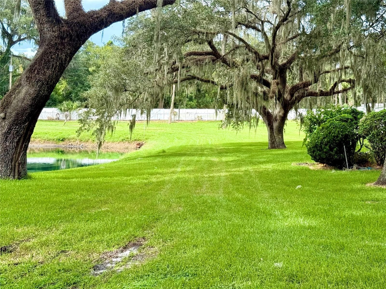 Sitting area - 6035 RIDGEWOOD DR, ZEPHYRHILLS