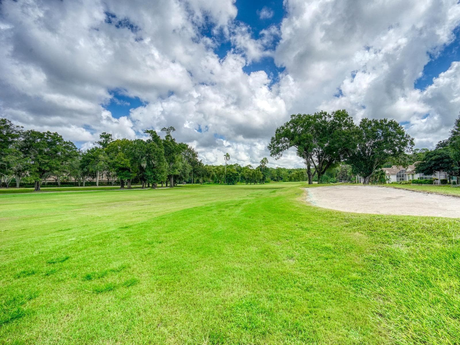 Single Family Residence at 3944 SILK OAK LN, PALM HARBOR, photo 51 of 57