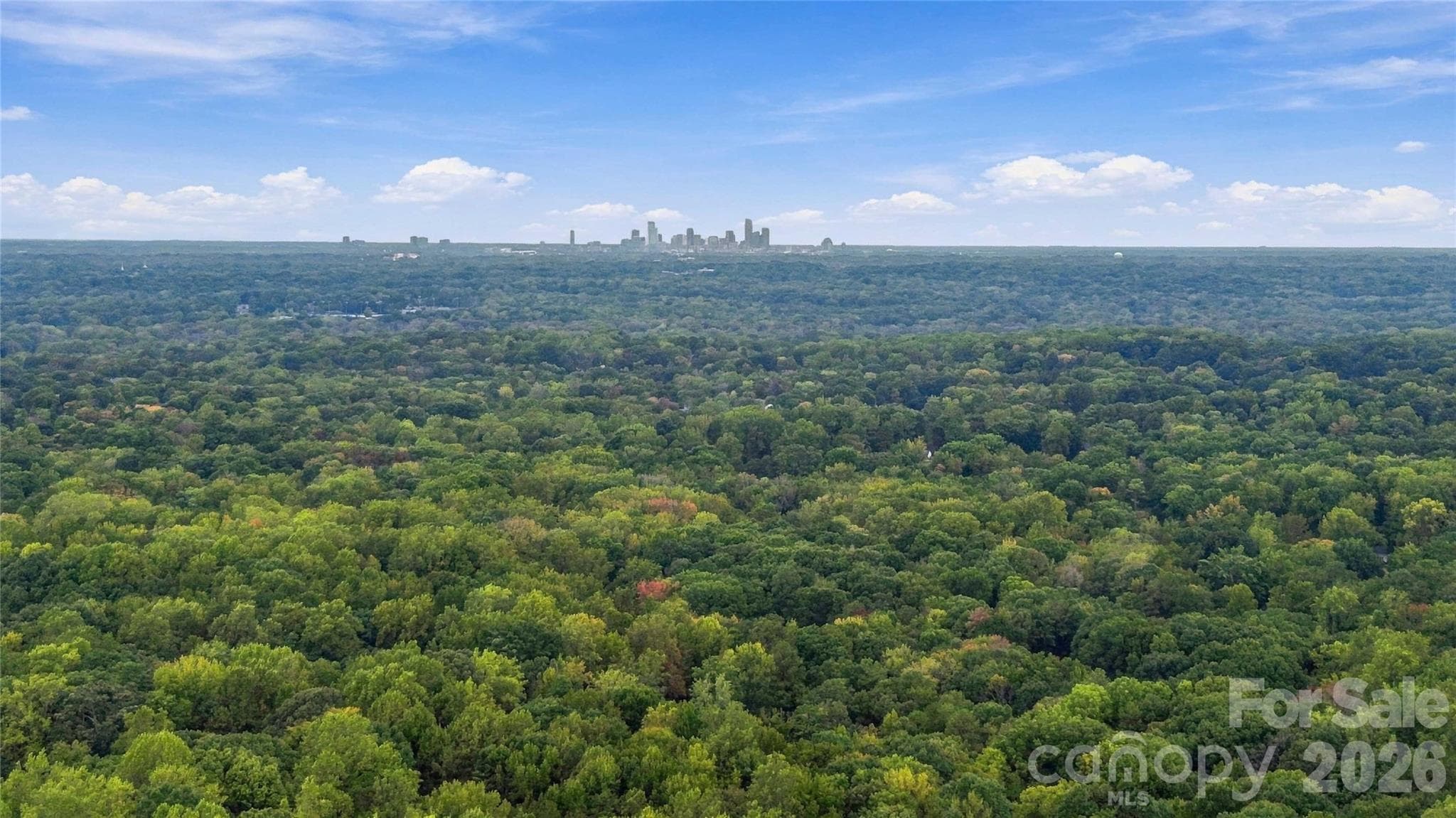 View of Uptown Charlotte - 9414 Tillot Drive, Matthews