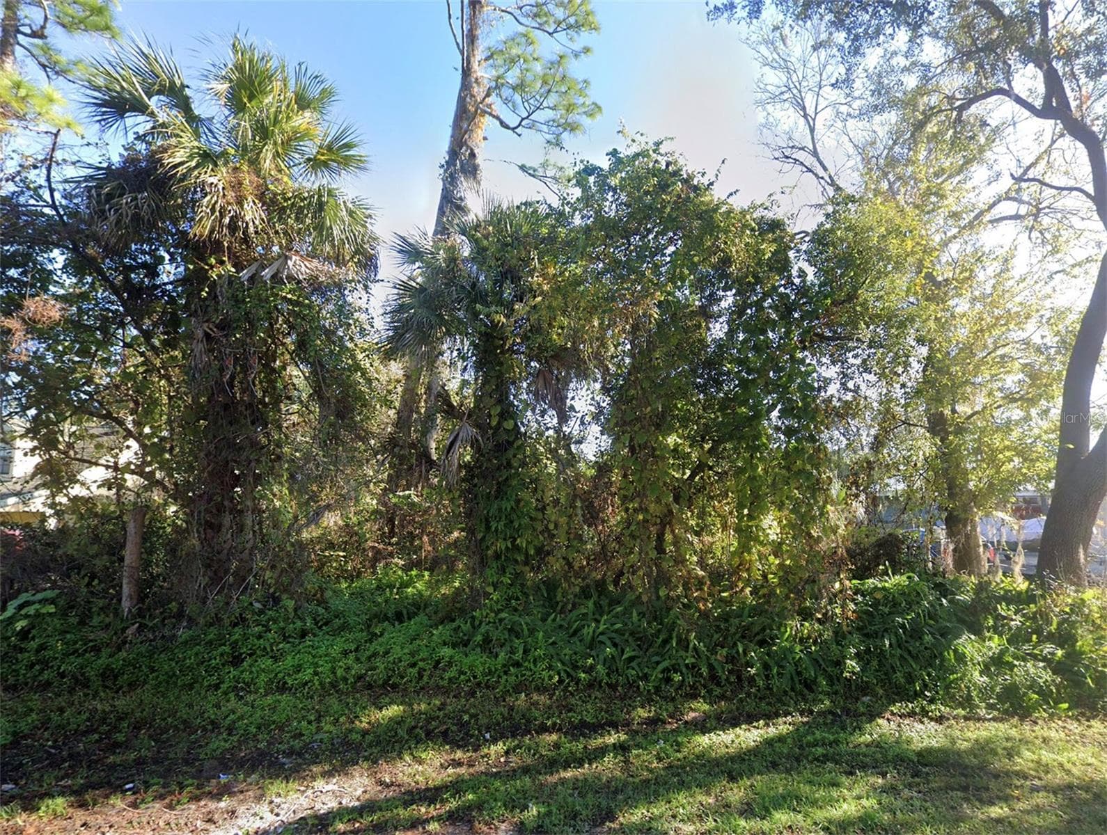 2311 UNITY TREE DR