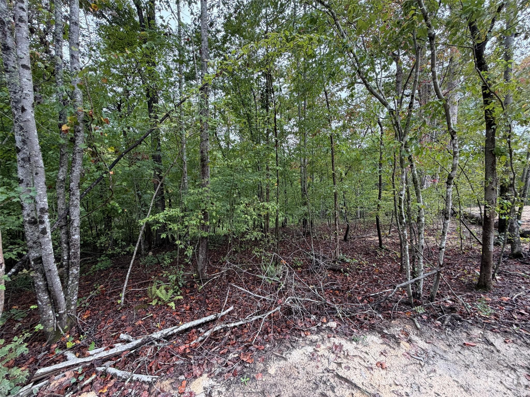 Acreage at V/L W V THOMPSON Road, Rutherfordton, photo 2 of 22