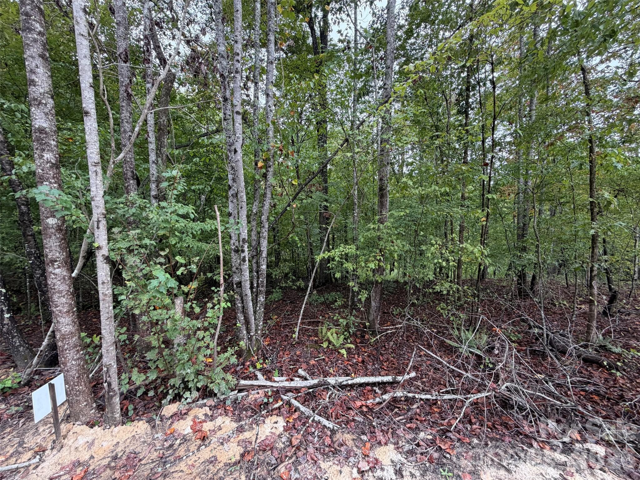 Acreage at V/L W V THOMPSON Road, Rutherfordton, photo 3 of 22