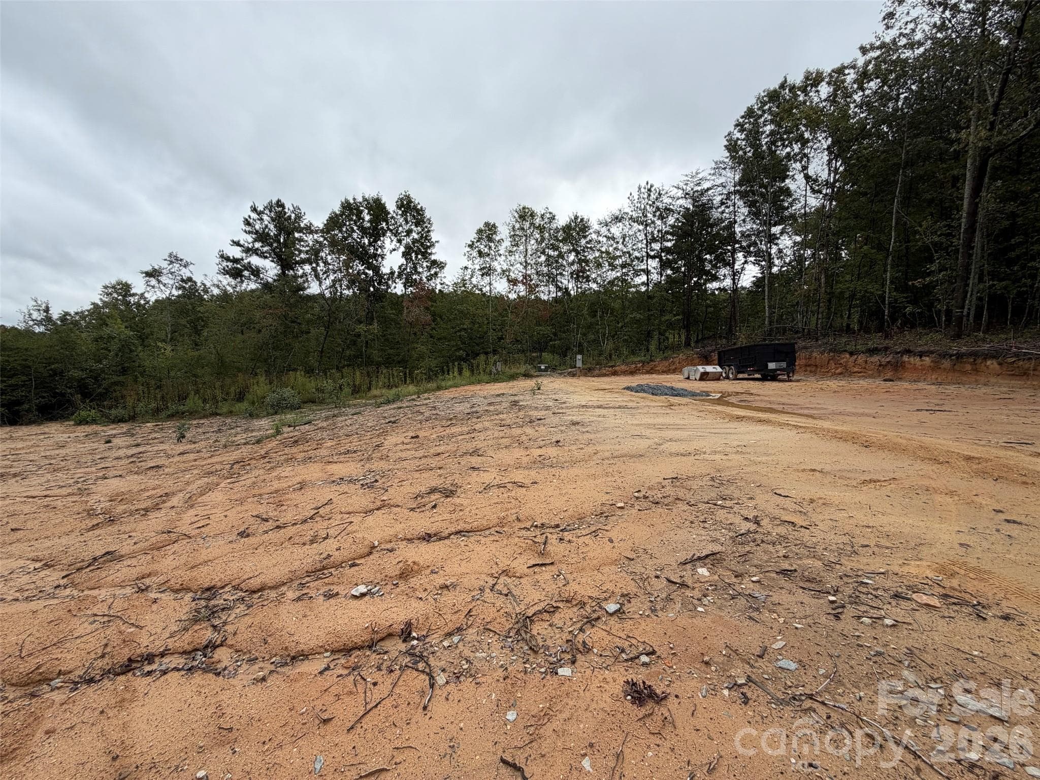 Acreage at V/L W V THOMPSON Road, Rutherfordton, photo 13 of 22