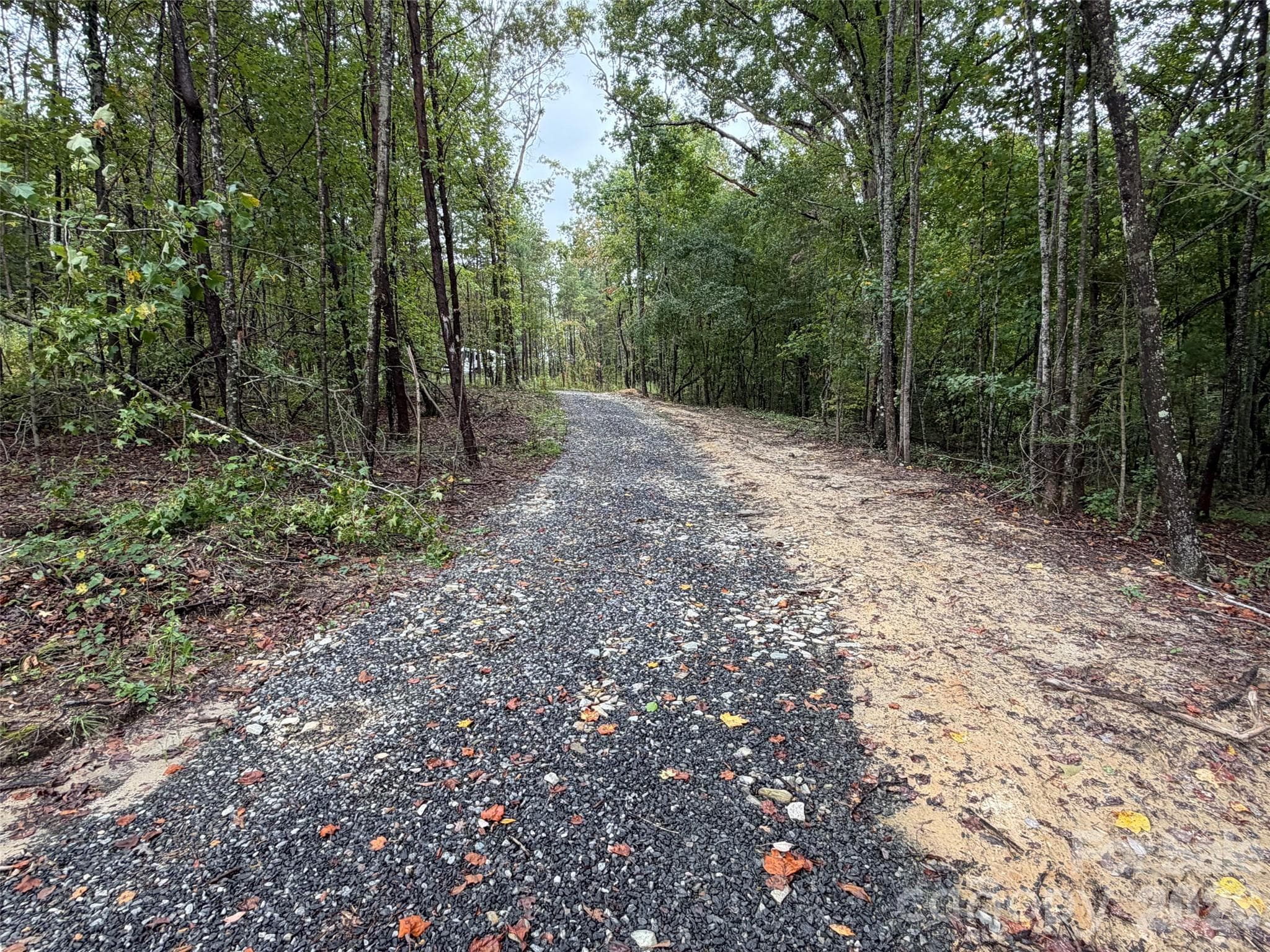 Acreage at V/L W V THOMPSON Road, Rutherfordton, photo 15 of 22