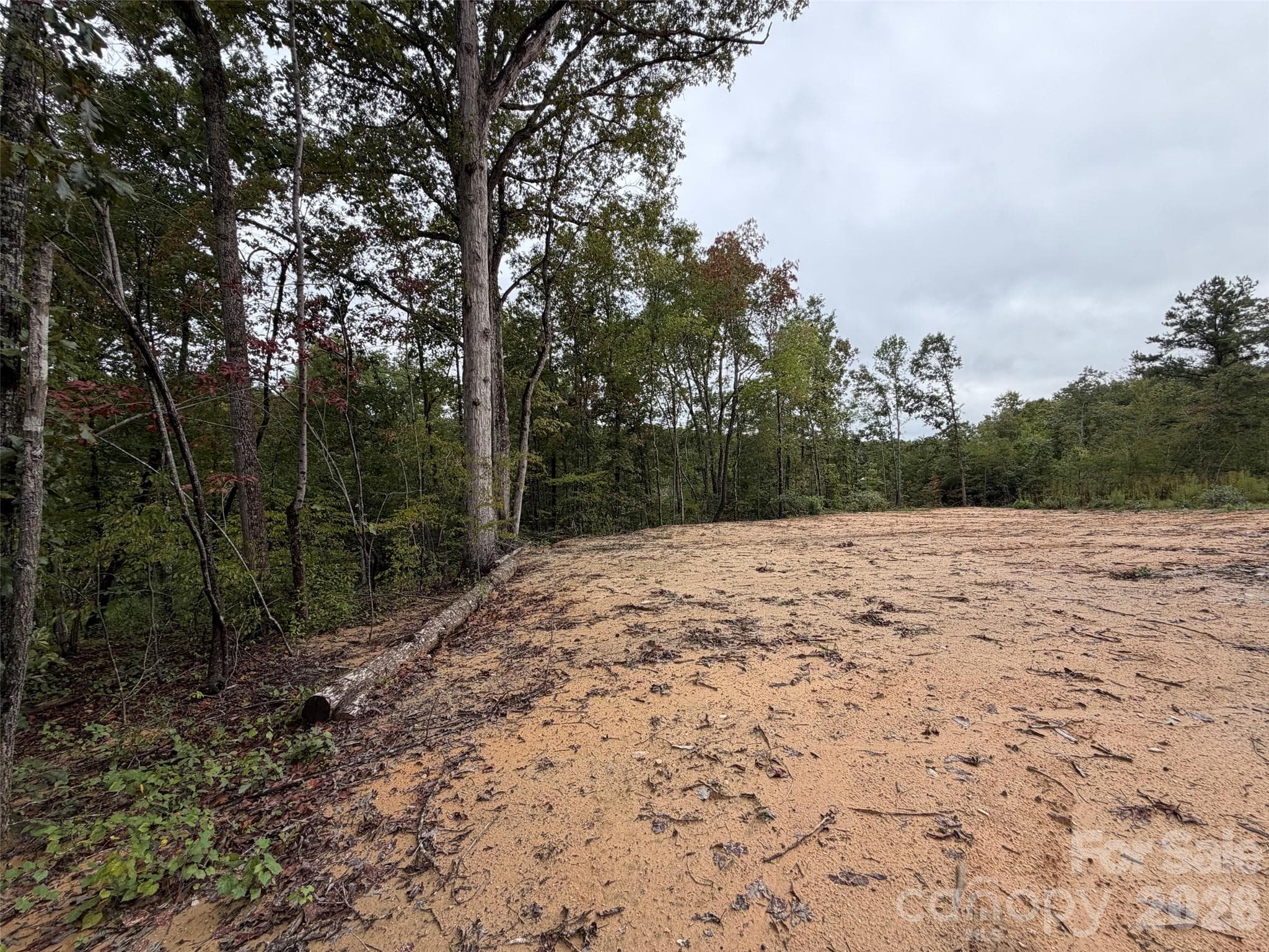 Acreage at V/L W V THOMPSON Road, Rutherfordton, photo 17 of 22