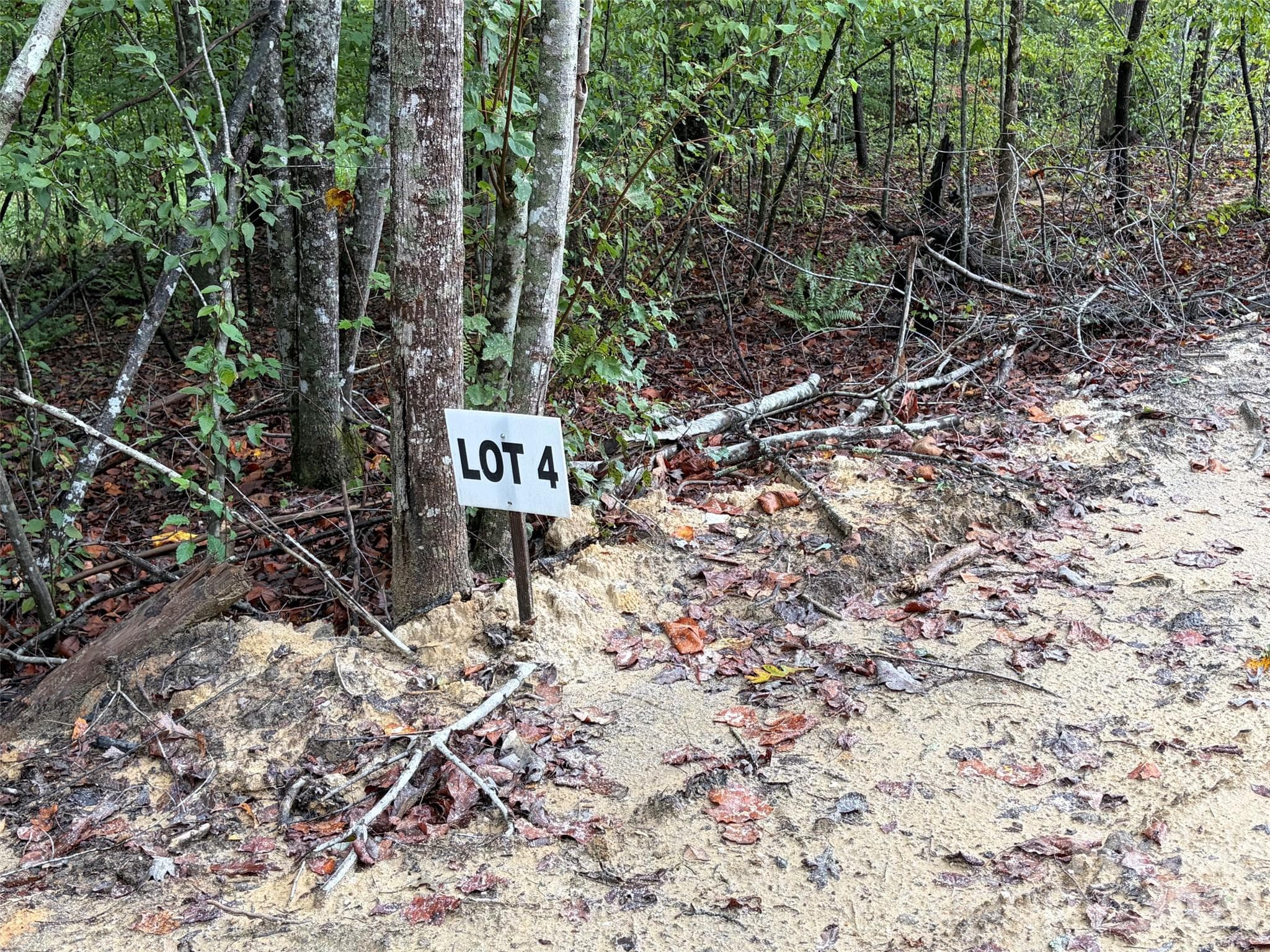 Acreage at V/L W V THOMPSON Road, Rutherfordton, photo 18 of 22