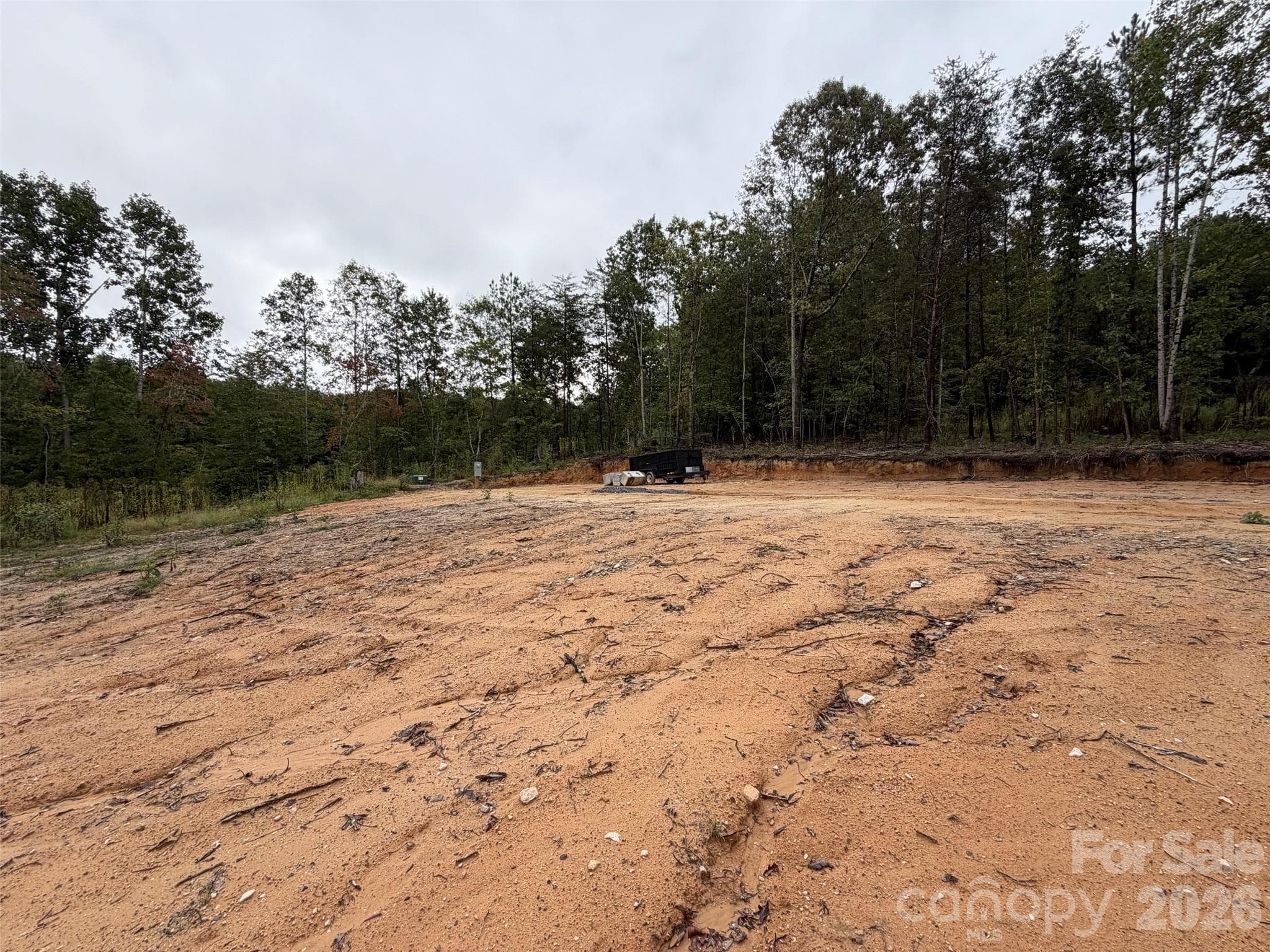 Acreage at V/L W V THOMPSON Road, Rutherfordton, photo 20 of 22