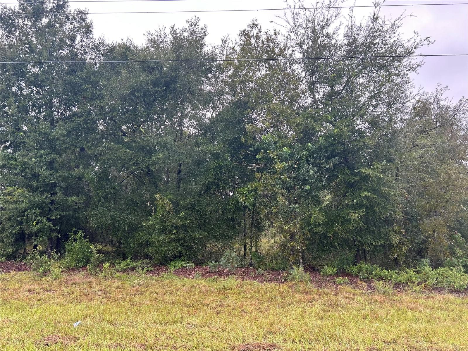 Land at TBD NE 110TH ST, BRONSON, photo 2 of 2