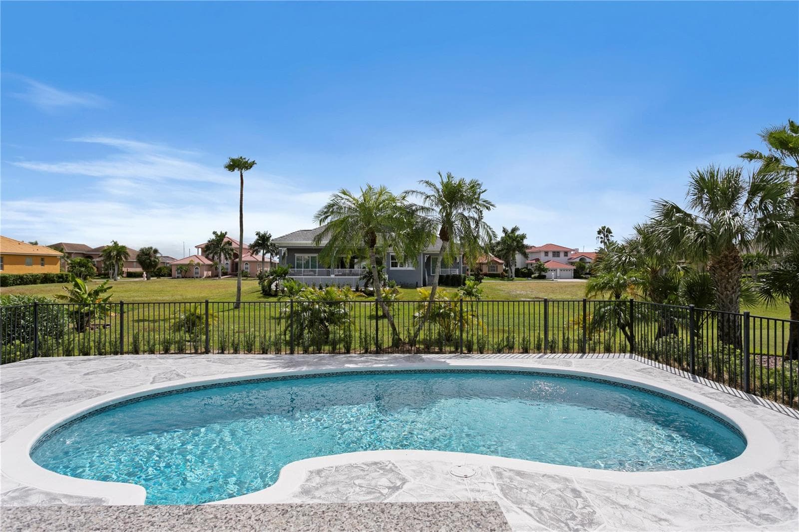 The newly refinished pool features upgraded jets, lighting, chlorination and filtration systems - 6402 RUBIA CIR, APOLLO BEACH