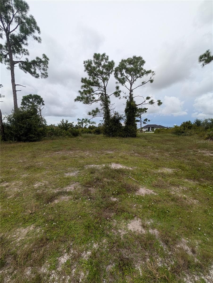 Land at 18 EBB CIR, PLACIDA, photo 4 of 9