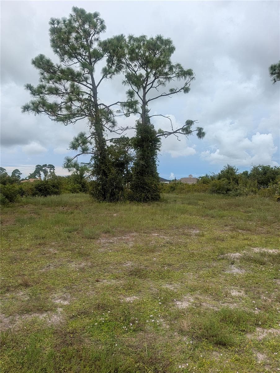 Land at 18 EBB CIR, PLACIDA, photo 6 of 9