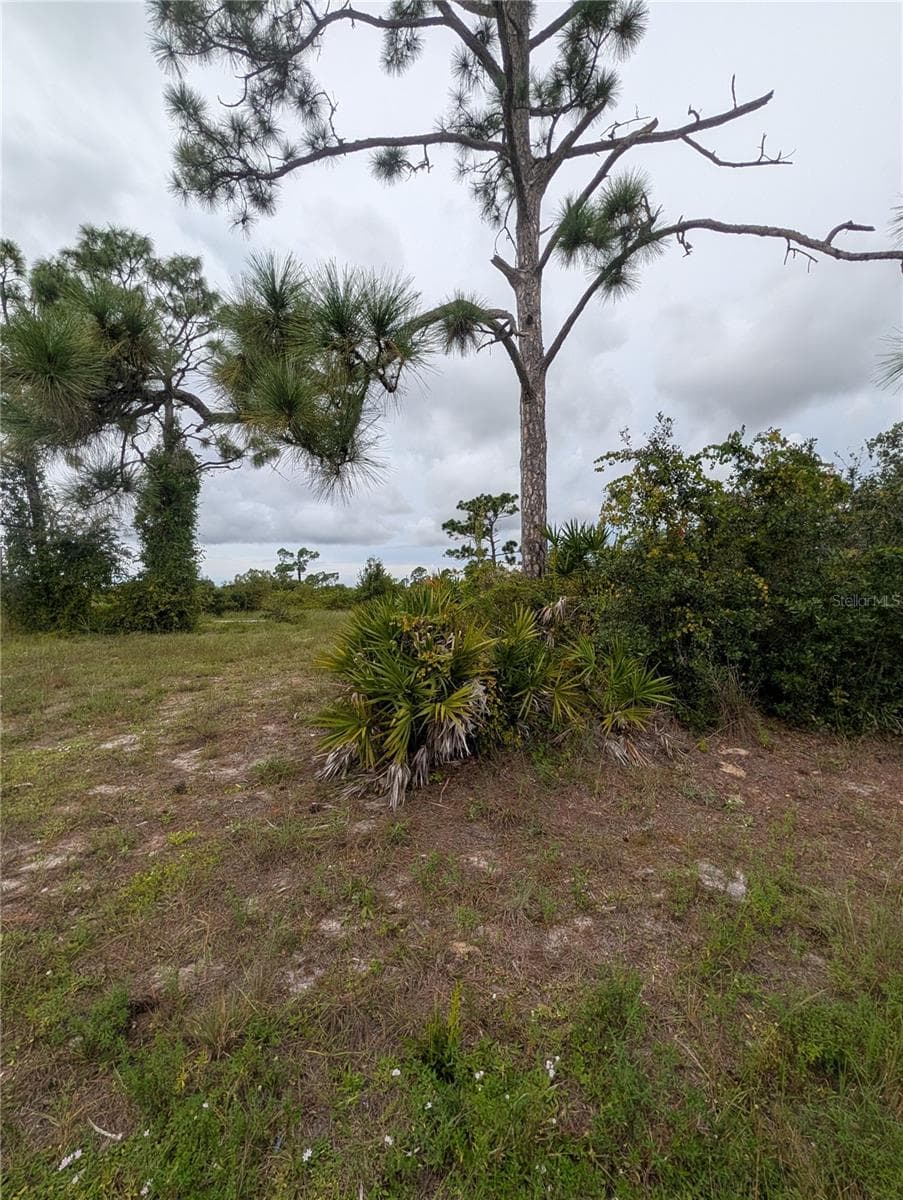 Land at 18 EBB CIR, PLACIDA, photo 8 of 9