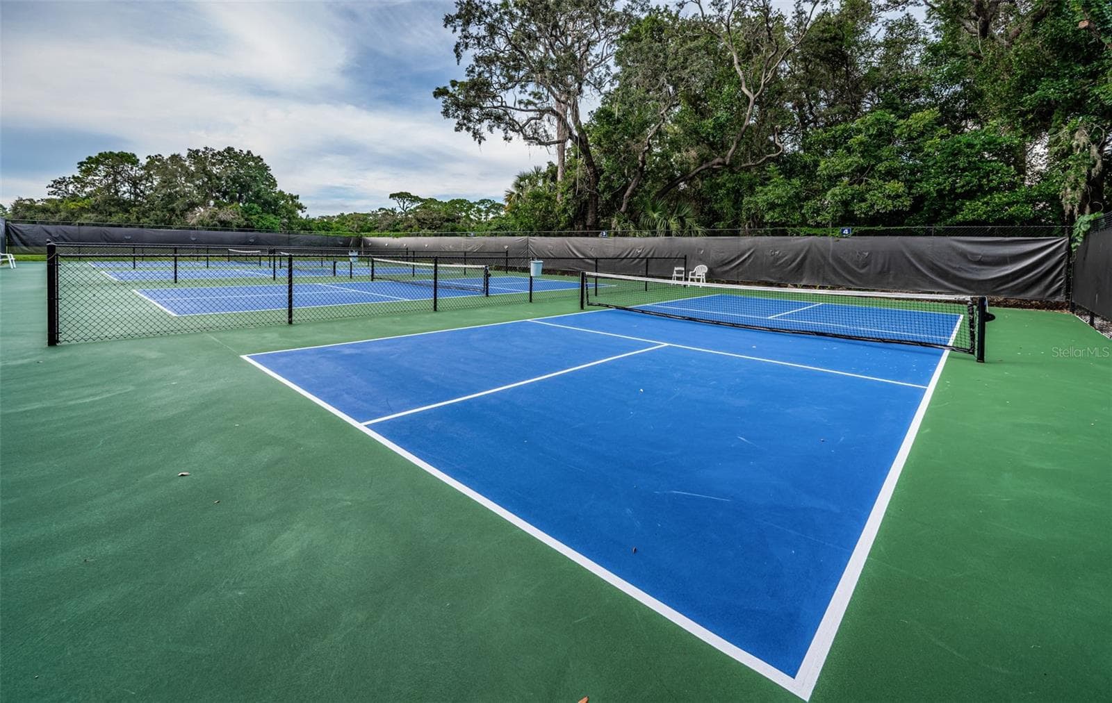 Single Family Residence at 1366 VIA VERDI DR, PALM HARBOR, photo 61 of 76