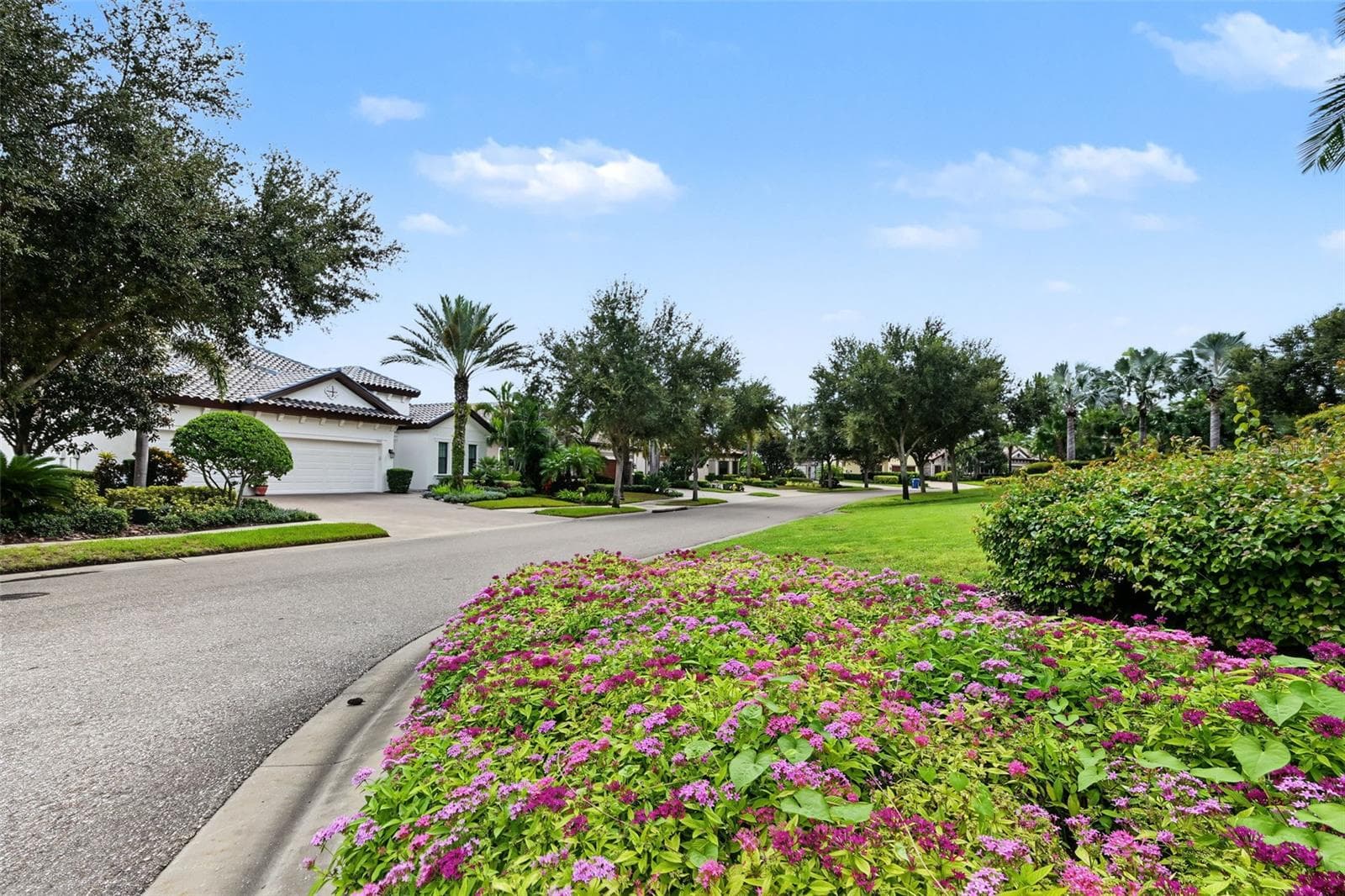 Single Family Residence at 1366 VIA VERDI DR, PALM HARBOR, photo 5 of 76