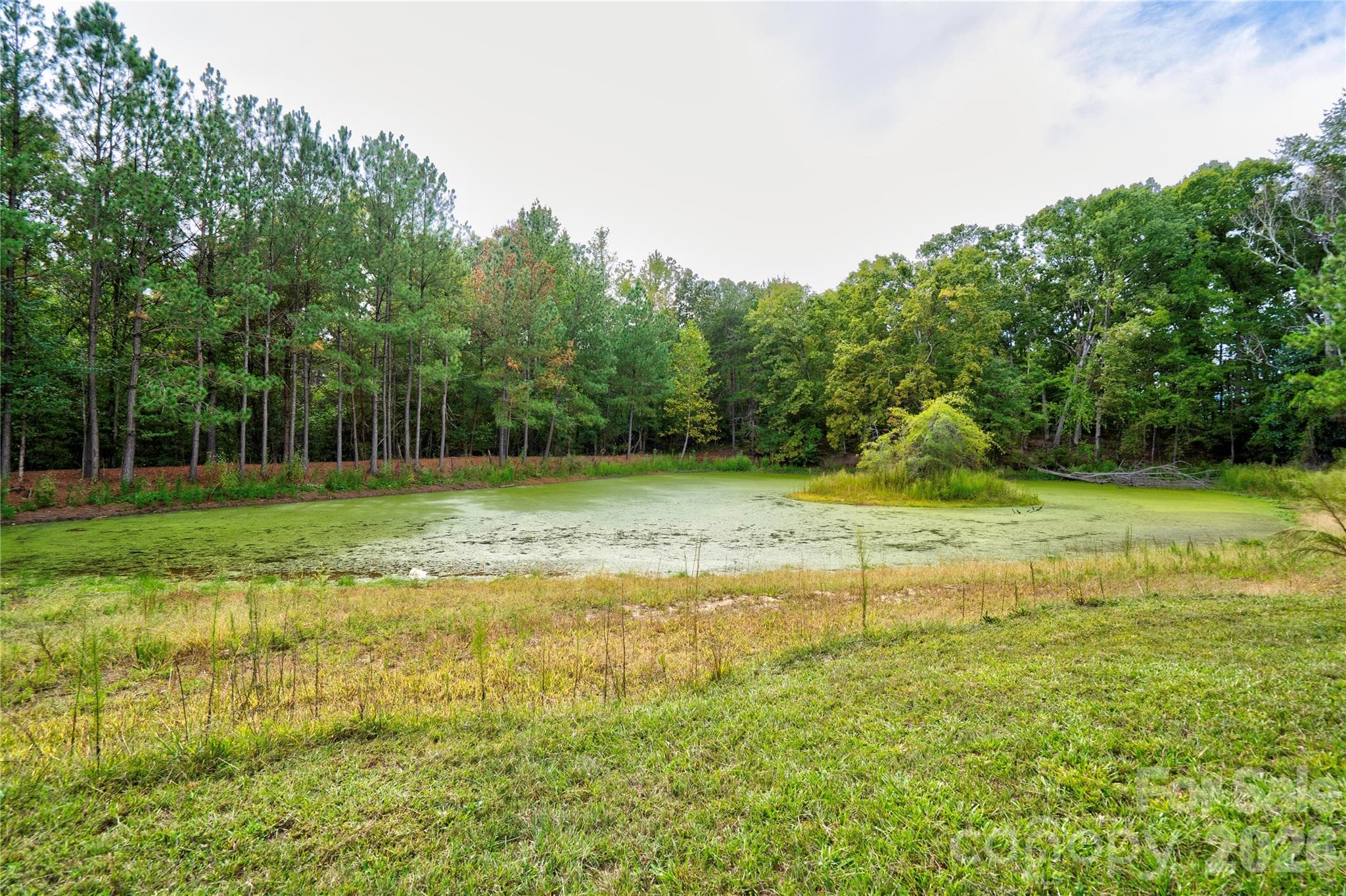 Pond - 129 Church View Drive, Lawndale