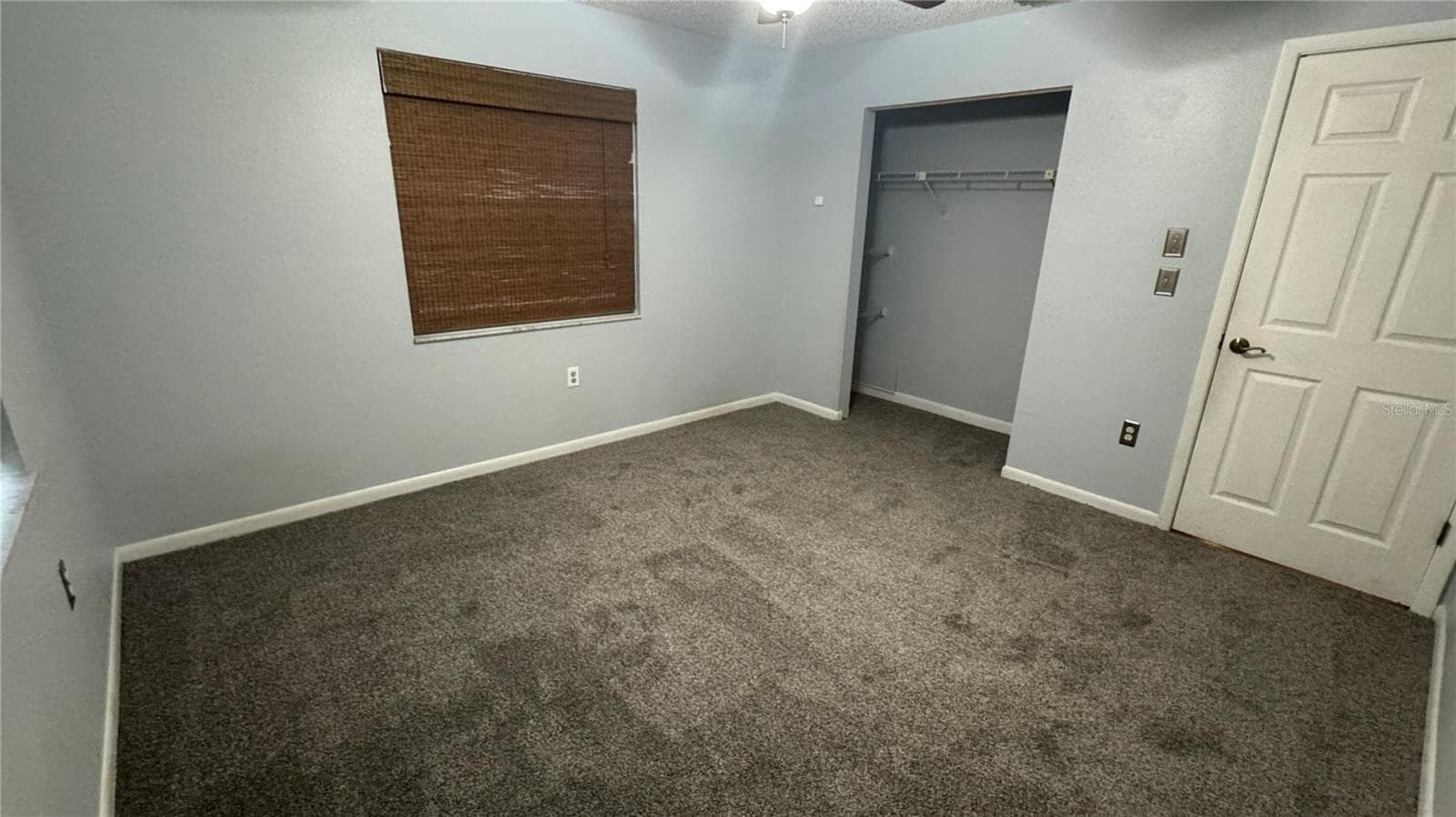 New carpet - 914 HARBOR CIR, PALM HARBOR