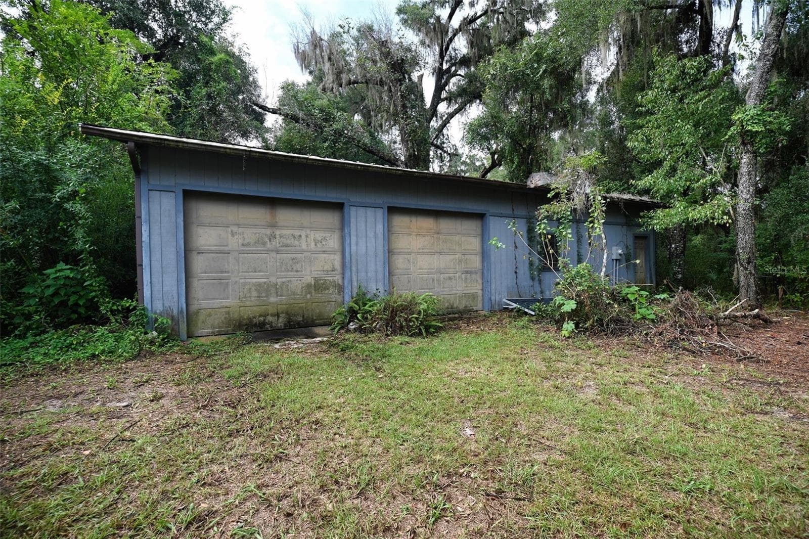 Farm at 2424 NE 170TH ST, CITRA, photo 2 of 67