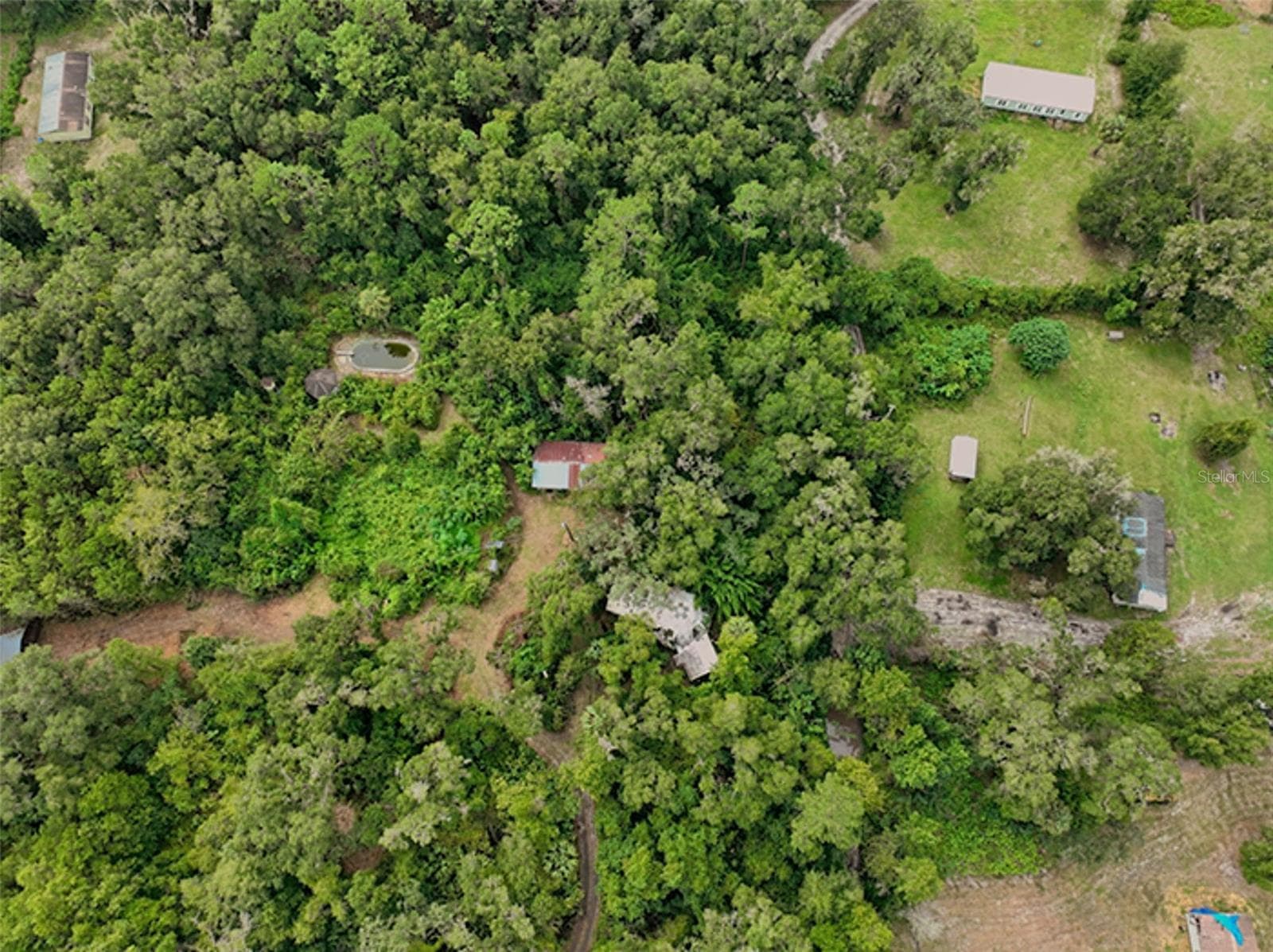 Farm at 2424 NE 170TH ST, CITRA, photo 64 of 67