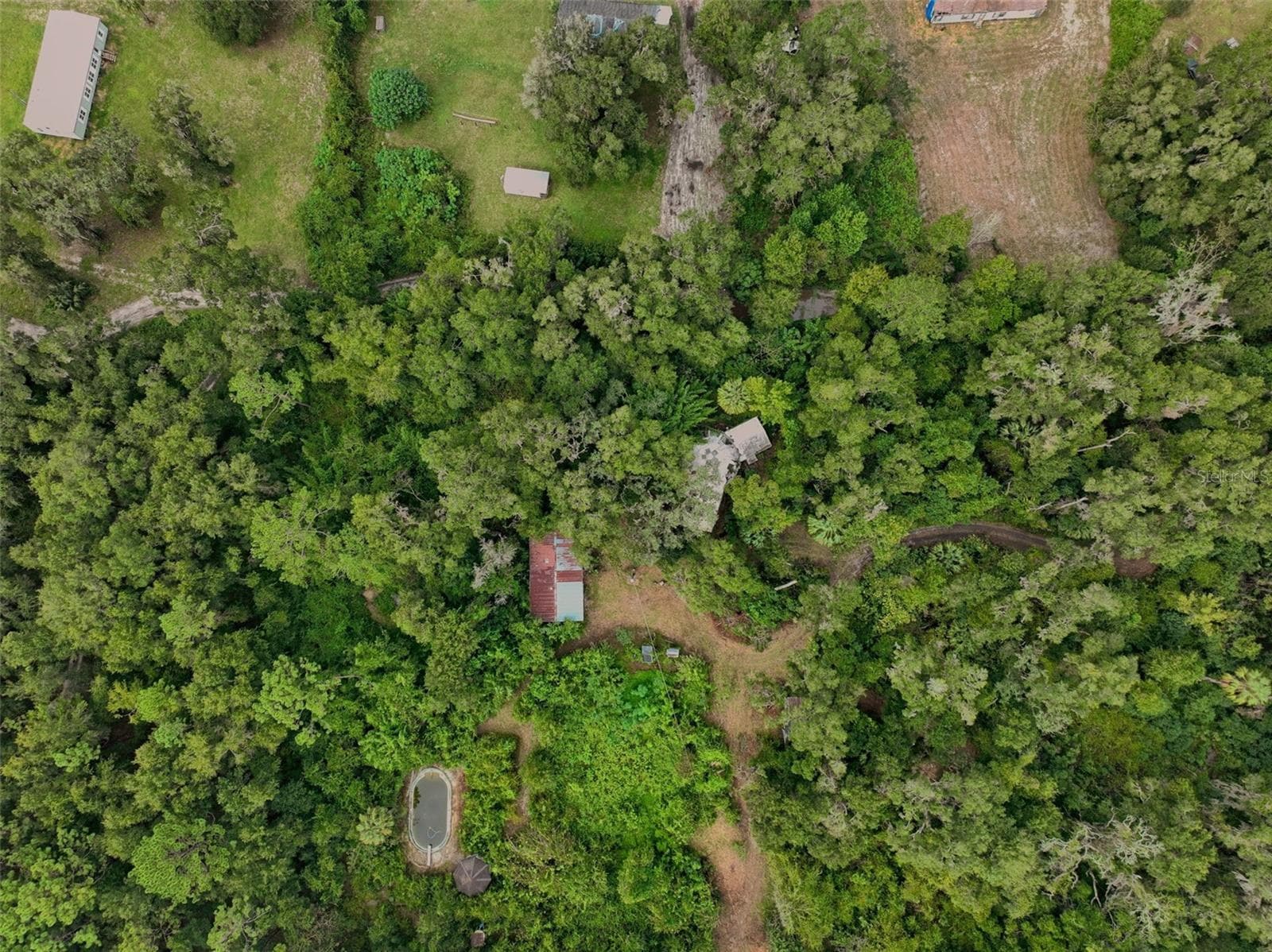 Farm at 2424 NE 170TH ST, CITRA, photo 66 of 67