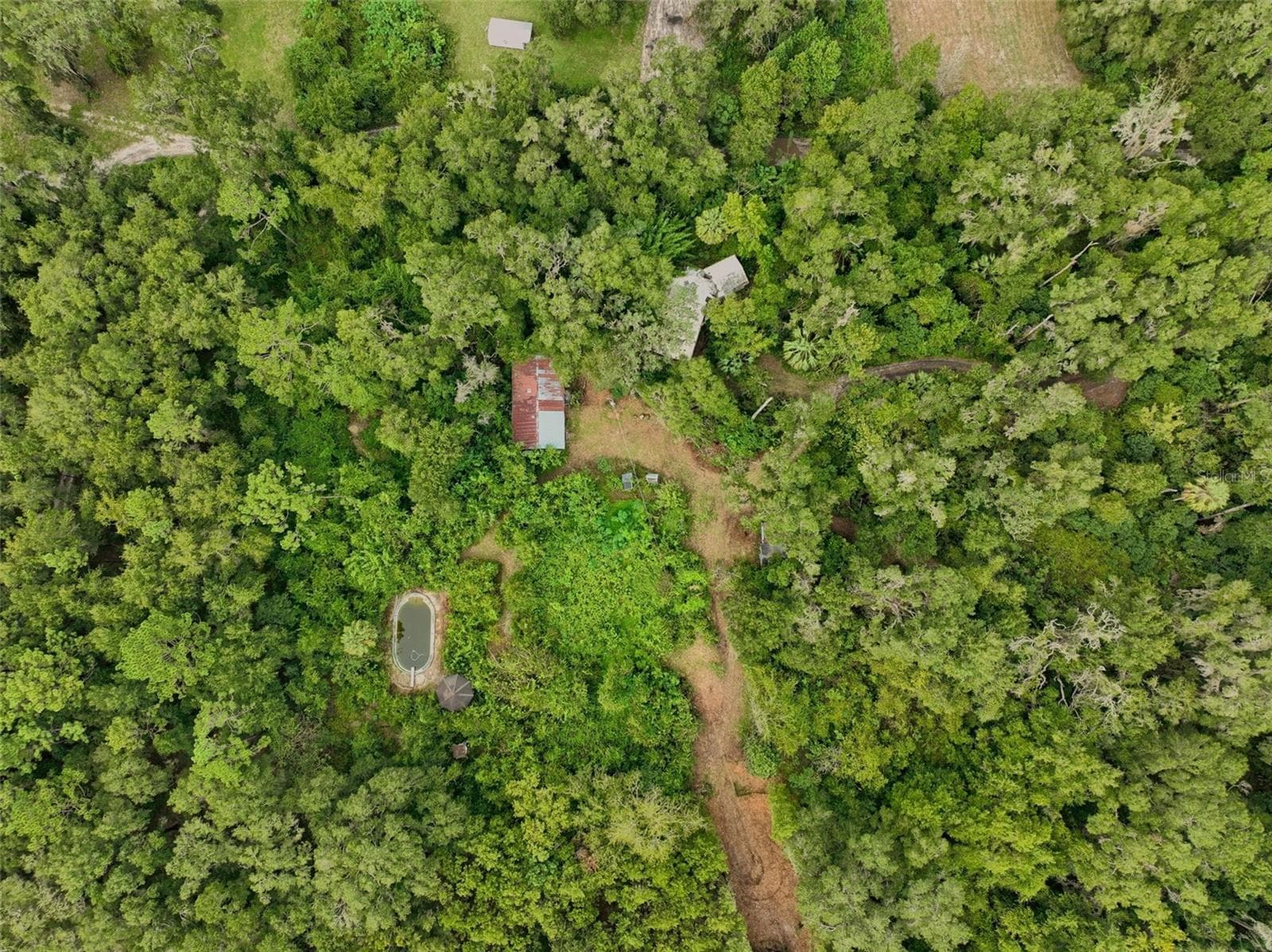 Farm at 2424 NE 170TH ST, CITRA, photo 67 of 67