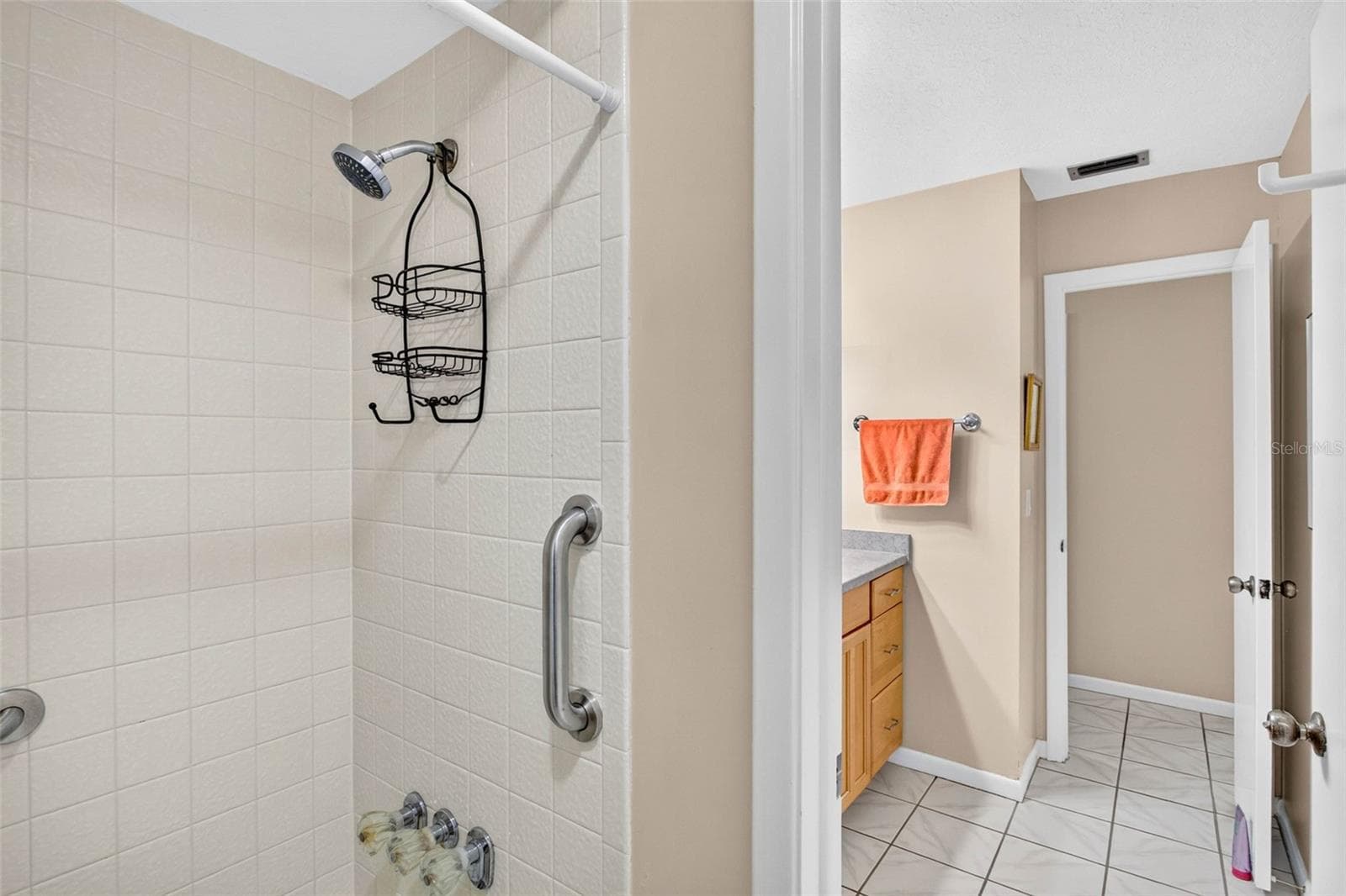 Single Family Residence at 7220 WOODBROOK DR, TAMPA, photo 19 of 30