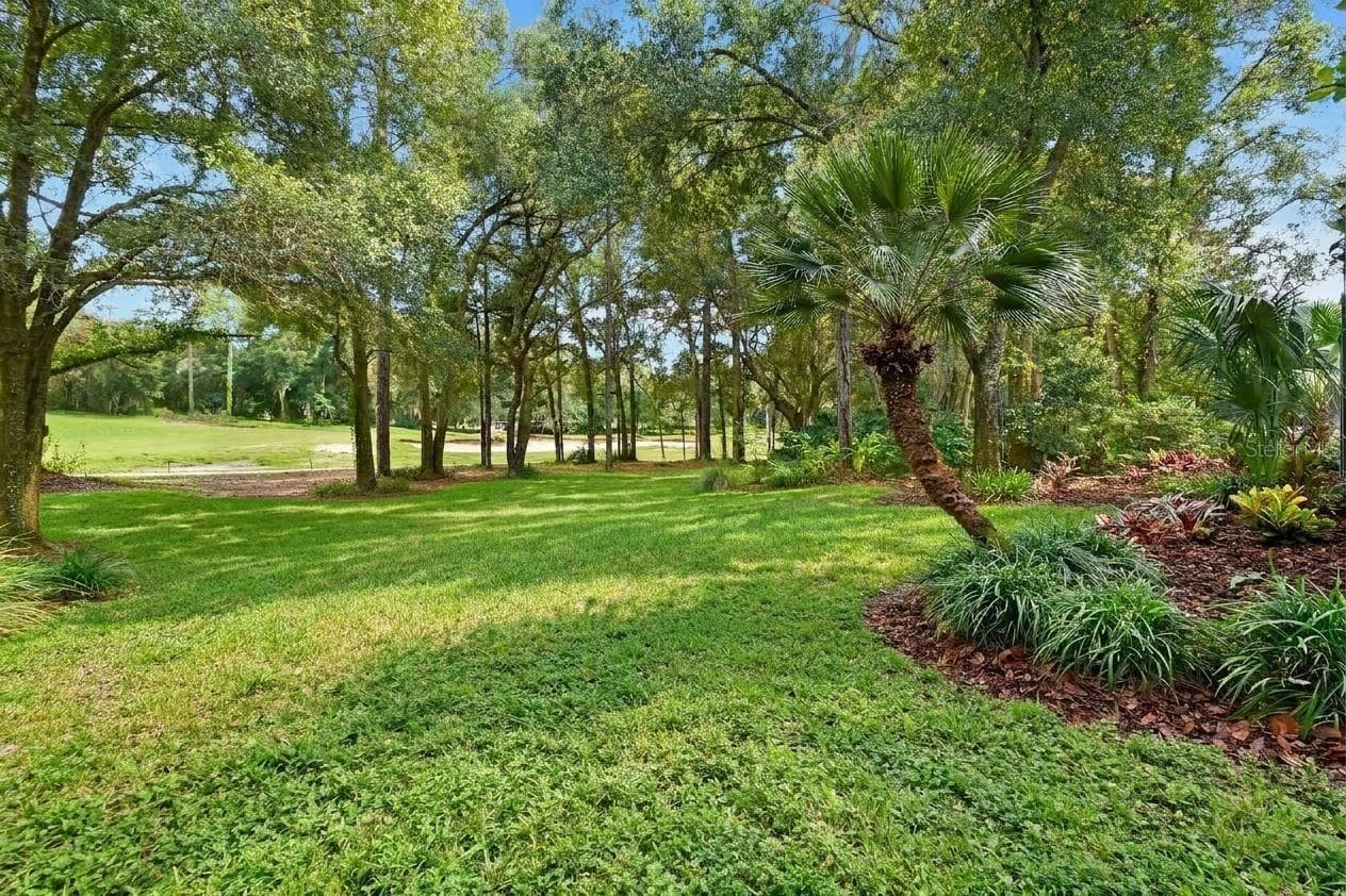 Rear yard - 502 VICTORIA HILLS DR, DELAND