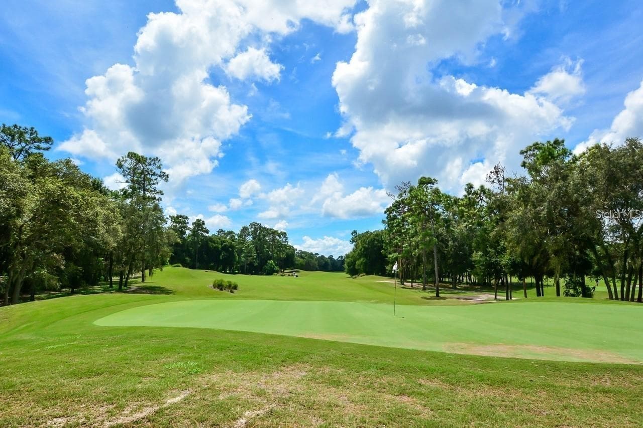 Playground - 502 VICTORIA HILLS DR, DELAND