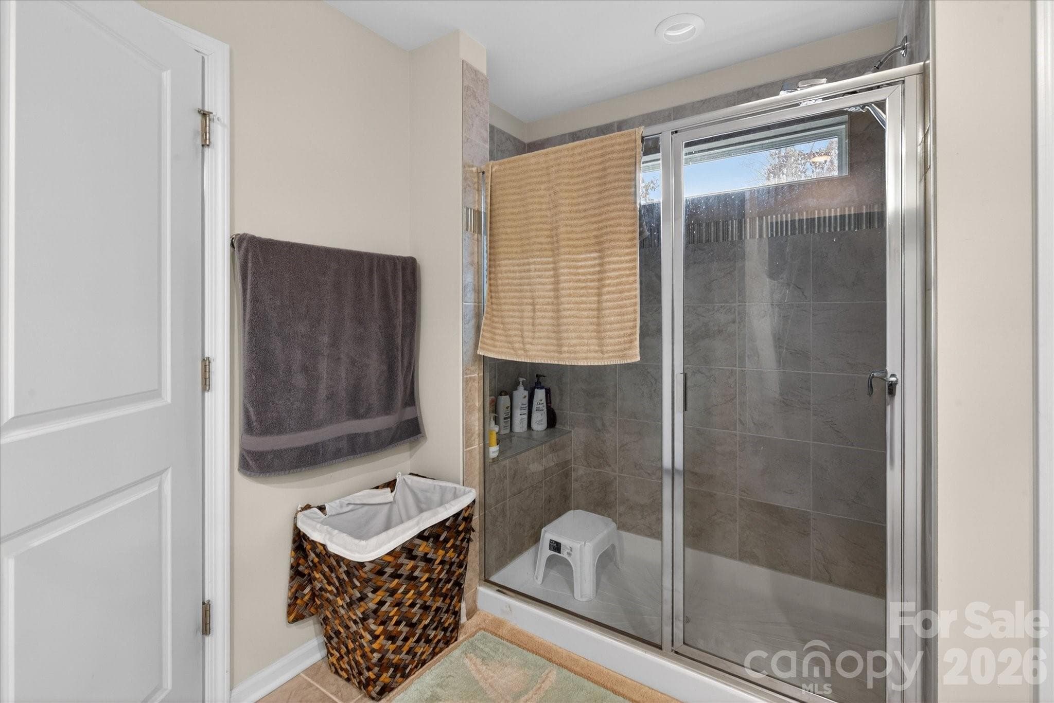Primary Walking Shower - 13017 Cinnamon Fern Lane, Mint Hill