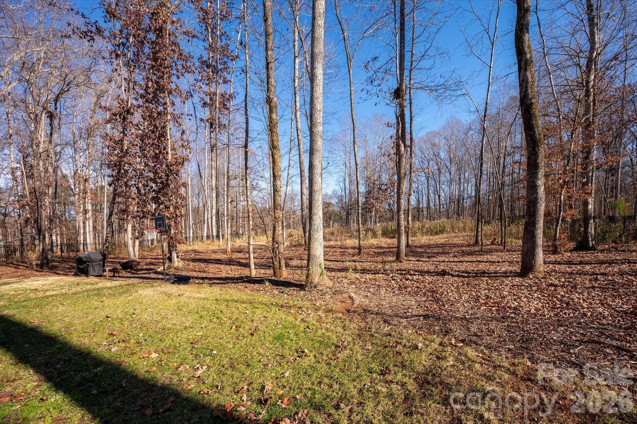 Semi-cleared backyard - 13017 Cinnamon Fern Lane, Mint Hill