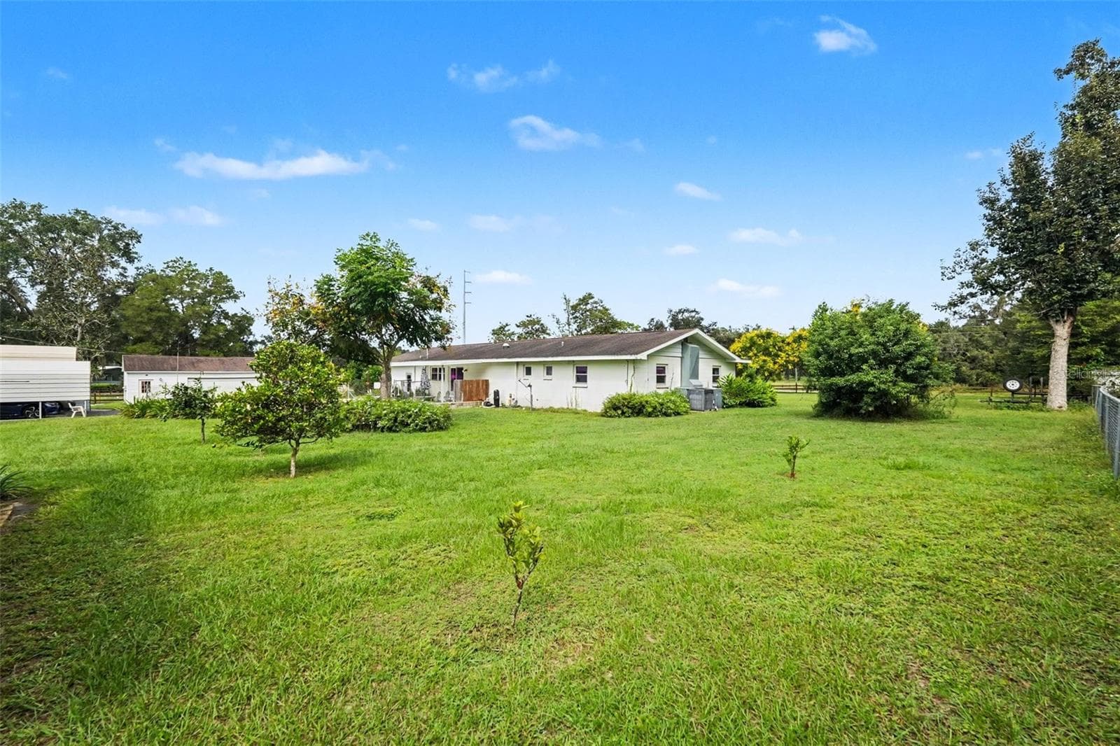 Room to run! - 39800 COUNTY ROAD 54, ZEPHYRHILLS