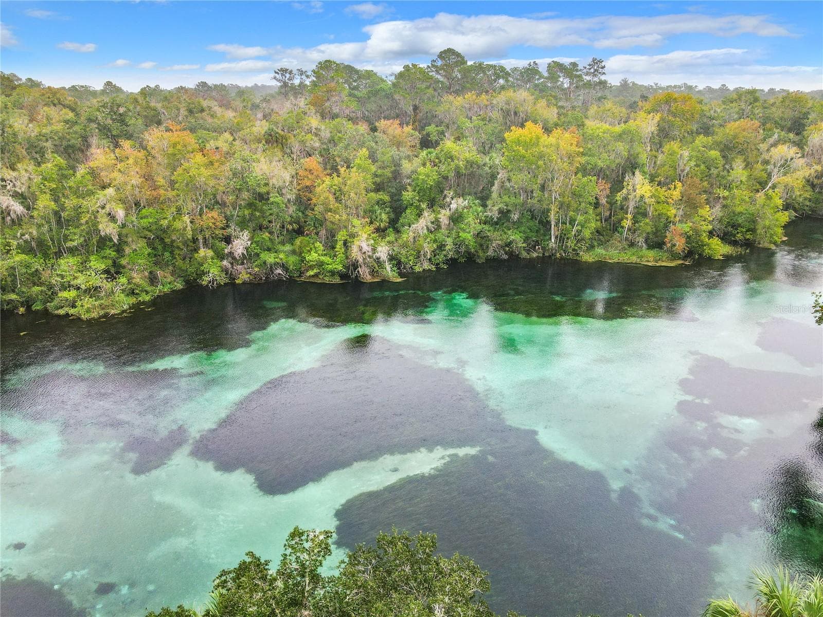 RAINBOW RIVER PARK ACCESS - 19175 SW 93RD LOOP, DUNNELLON