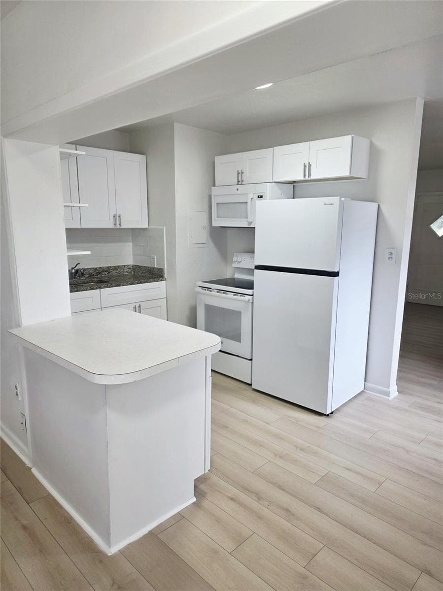 Kitchen - 2103 N HAROLD AVE, TAMPA