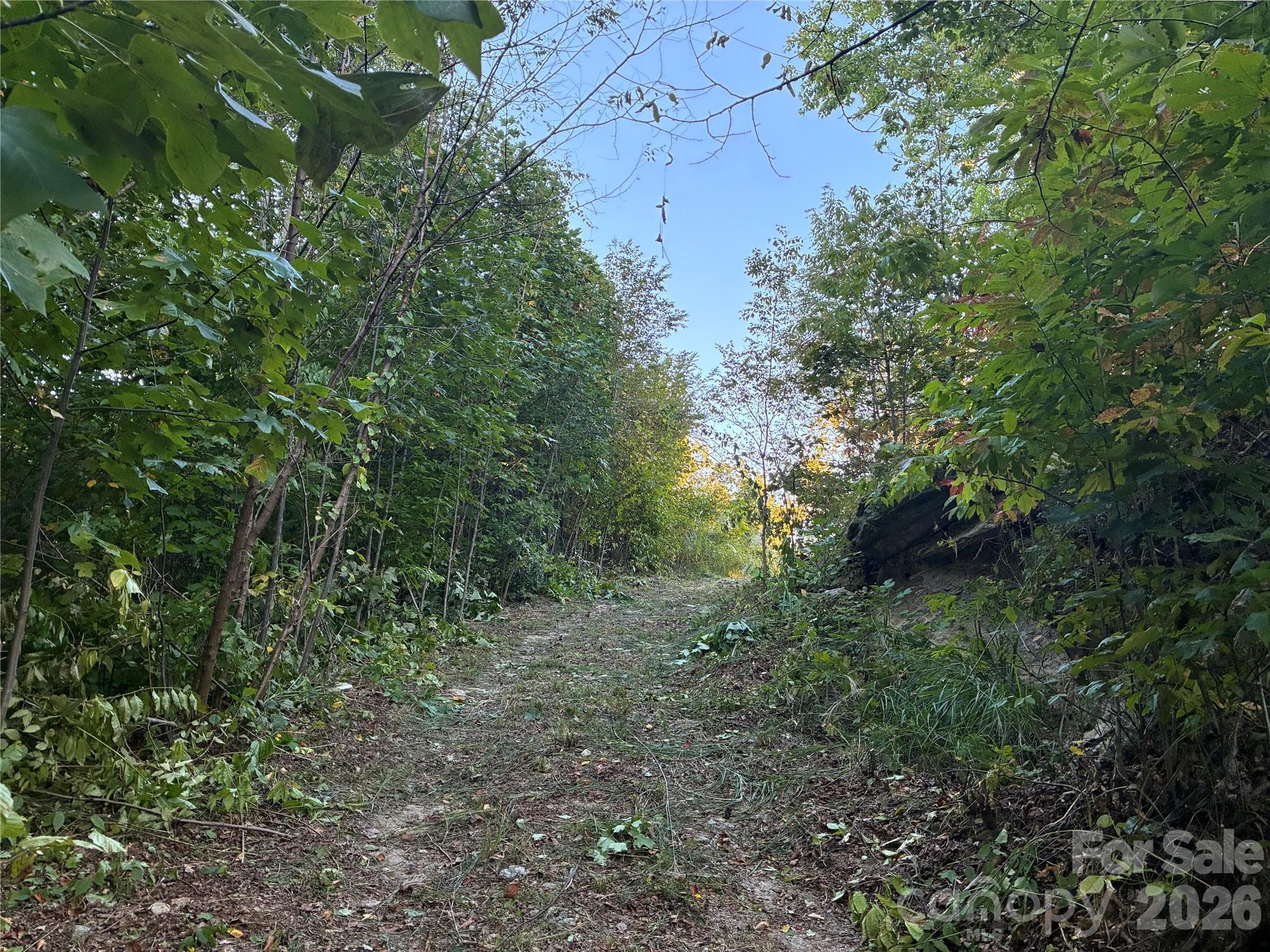 Lot at 0 Corn Mountain Road, Hendersonville, photo 3 of 10
