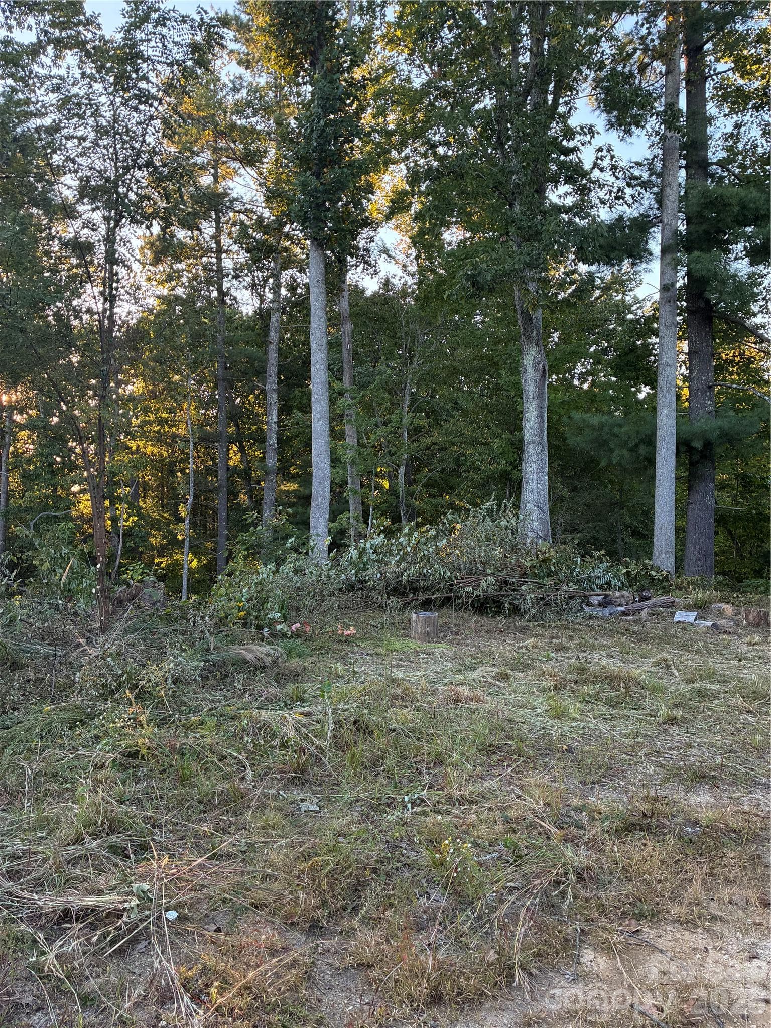 Lot at 0 Corn Mountain Road, Hendersonville, photo 4 of 10