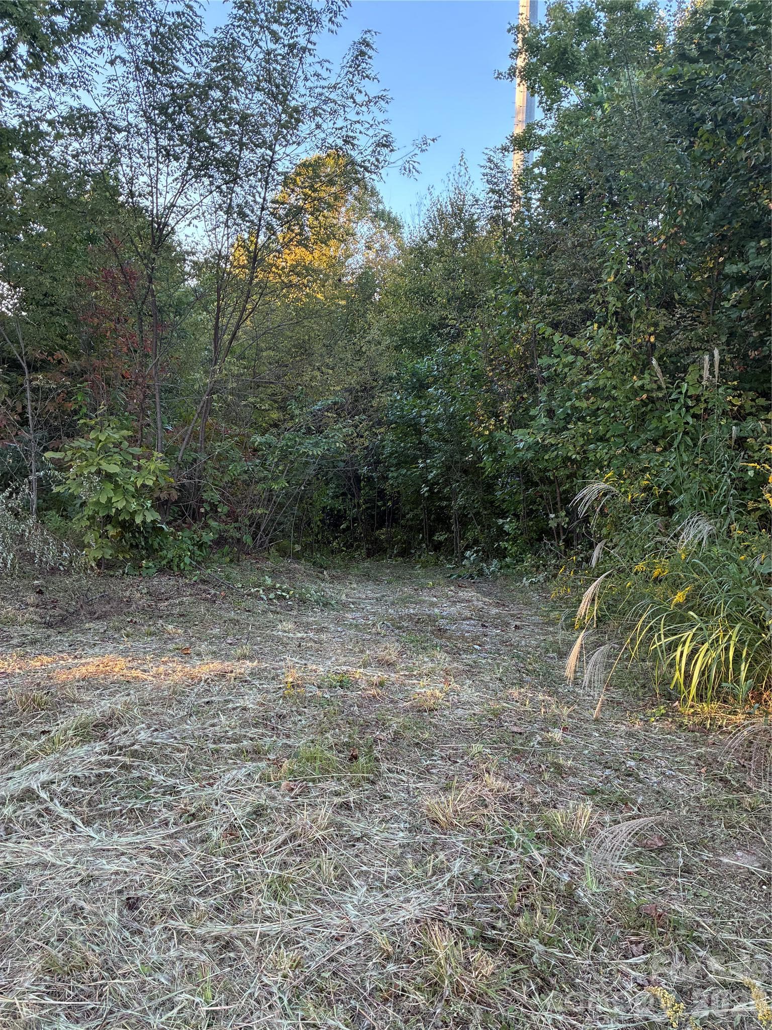 Lot at 0 Corn Mountain Road, Hendersonville, photo 5 of 10
