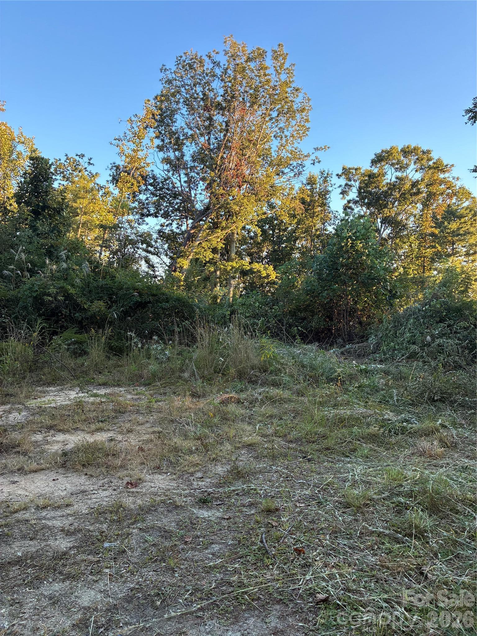 Lot at 0 Corn Mountain Road, Hendersonville, photo 6 of 10