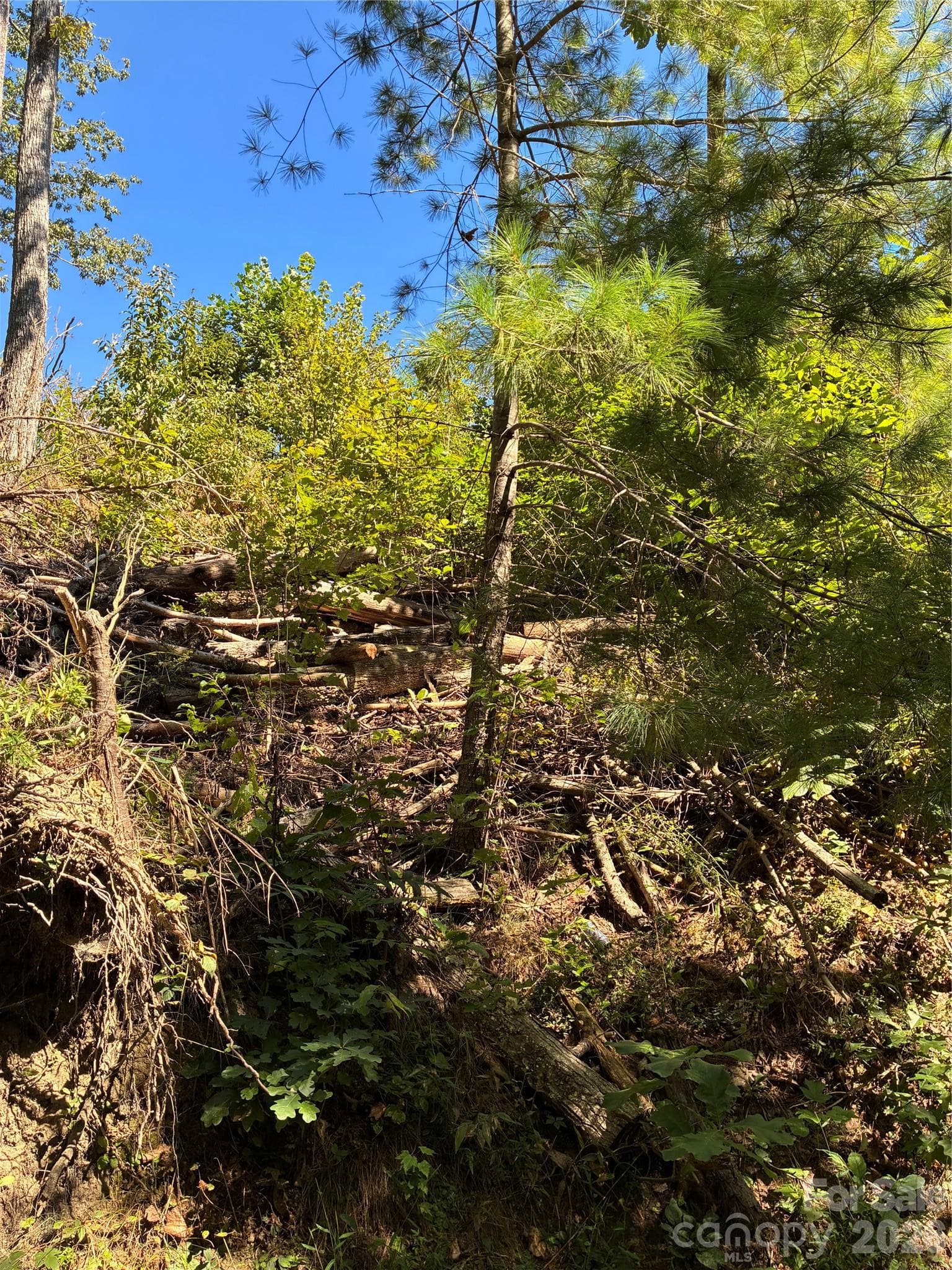 Lot at 0 Corn Mountain Road, Hendersonville, photo 7 of 10