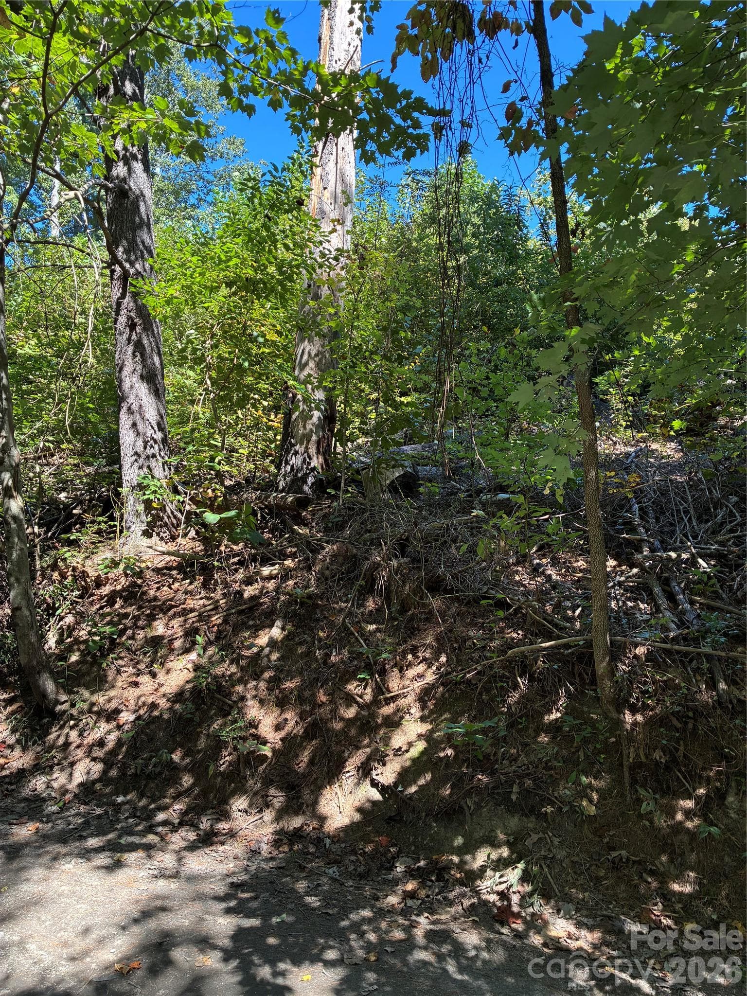 Lot at 0 Corn Mountain Road, Hendersonville, photo 8 of 10