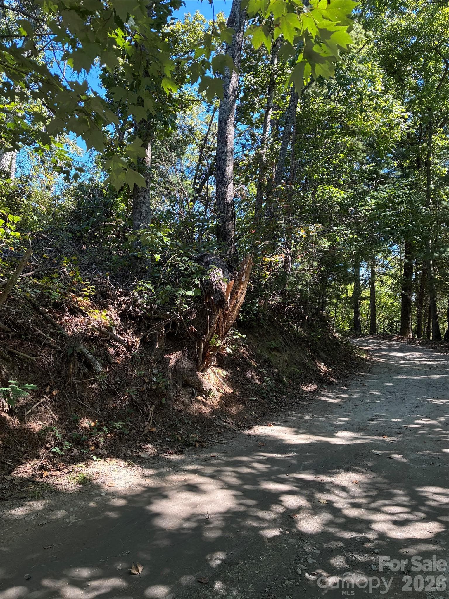 Lot at 0 Corn Mountain Road, Hendersonville, photo 9 of 10