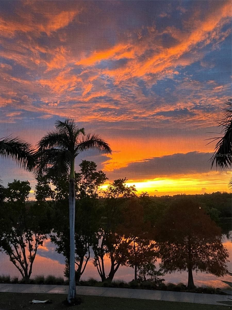 Sunrise from the lanai :) - 391 ARUBA CIR #203, BRADENTON