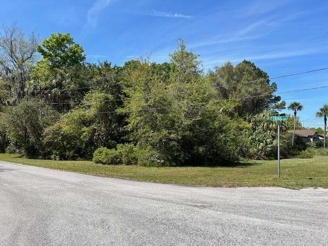 Land at 4816 S Trail Way, Homosassa FL 34448, Homosassa, photo 3 of 16