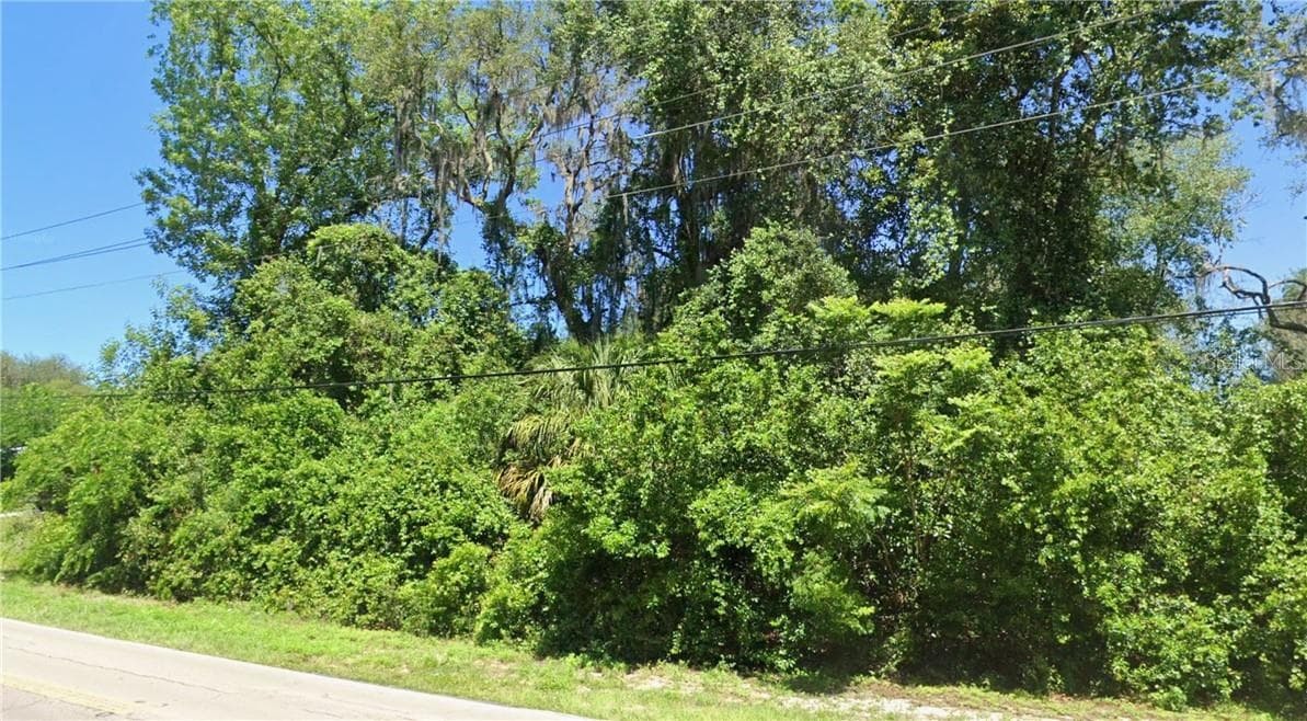 Land at 8731 E Gospel Island Road, Inverness FL 34450, Inverness, photo 7 of 9